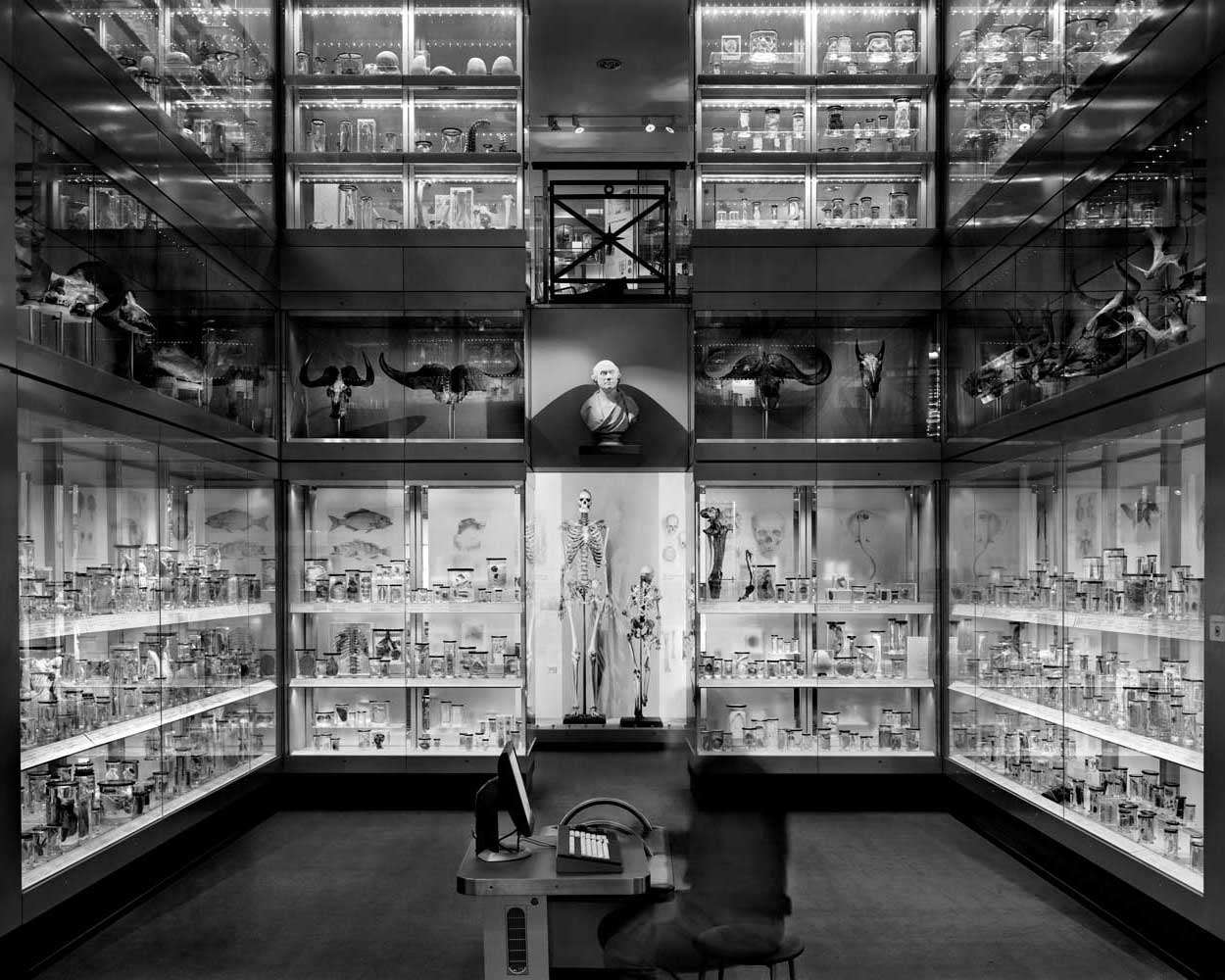Crystal Gallery, Huntarian Museum, London