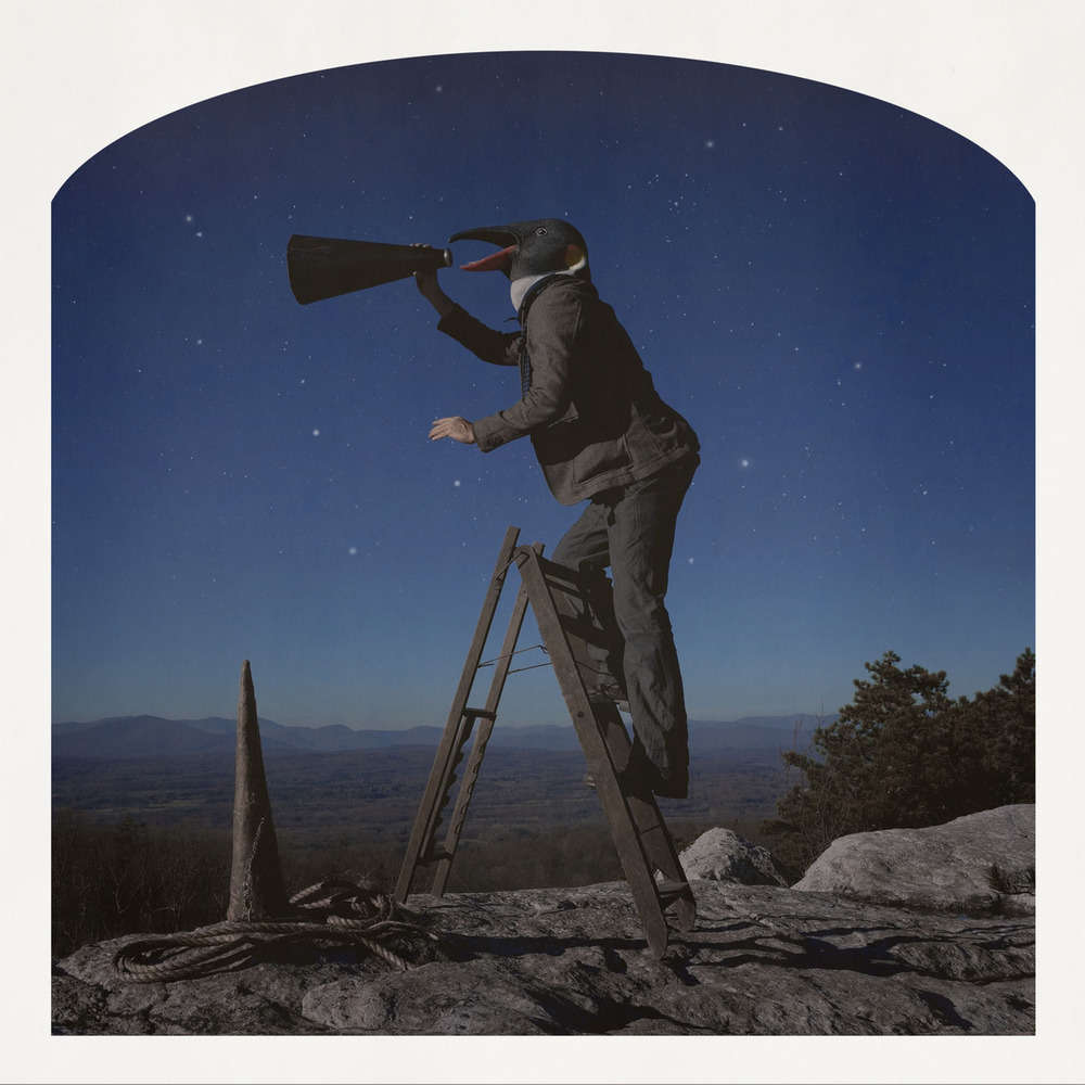 Kahn + Selesnick, Squawk!, 2012