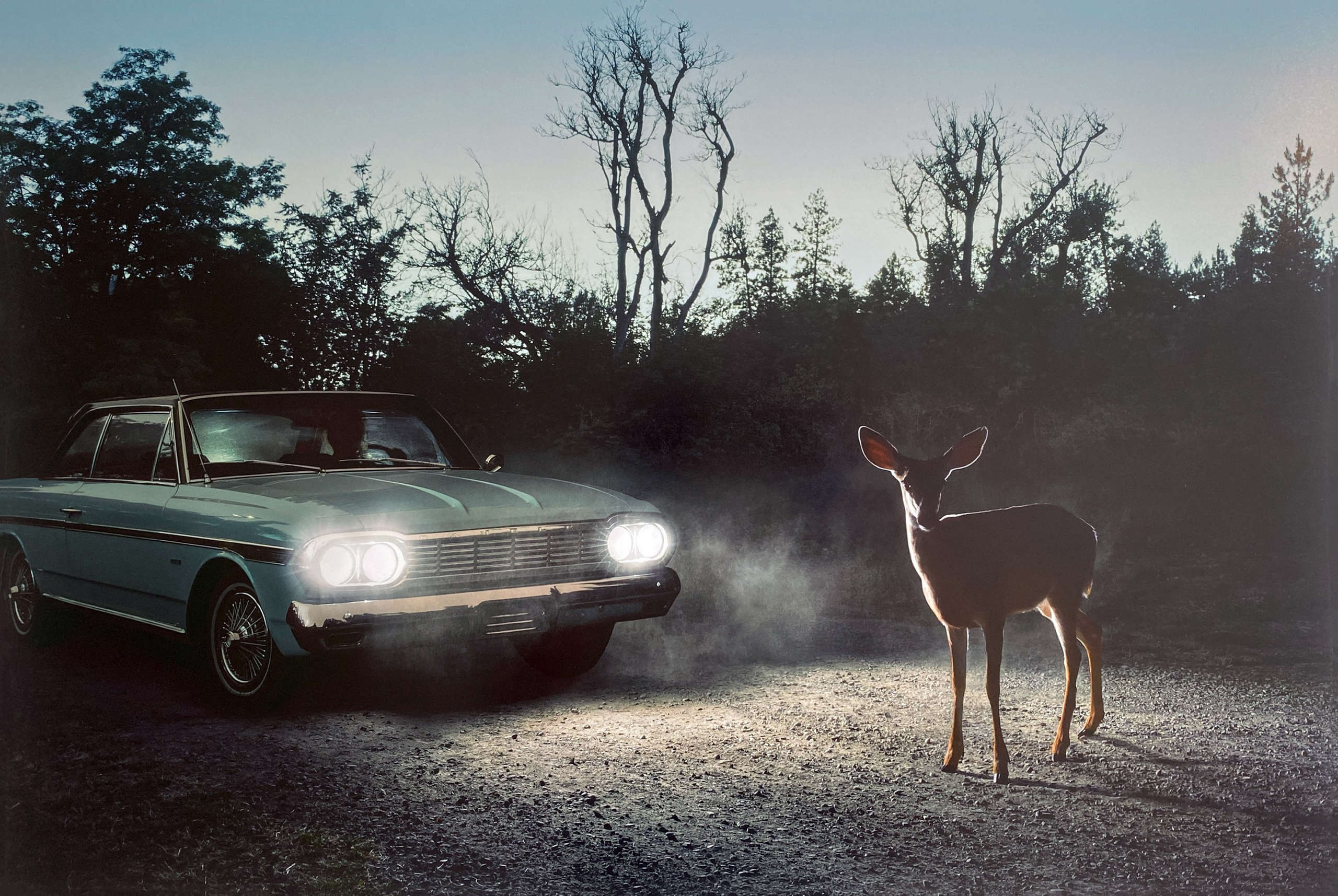Muscle Beach, Los Angeles