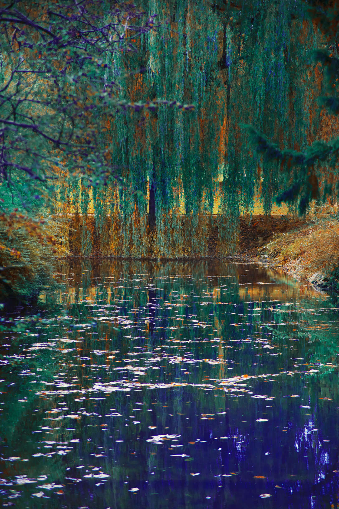 English Garden Study N.32, The Tapestry