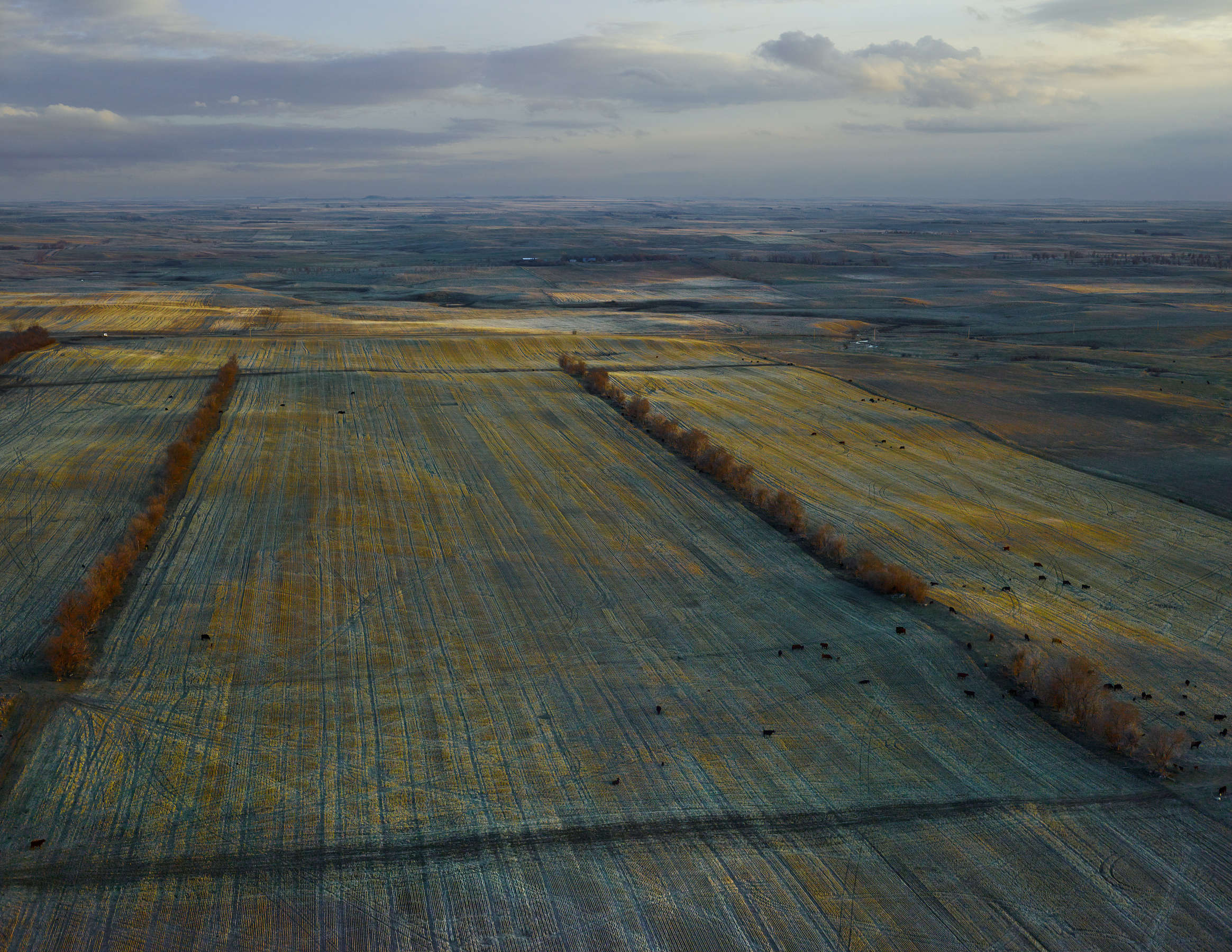 Andrew Moore, Dusky Fields, Mckenzie Country, North Dakota, 2013