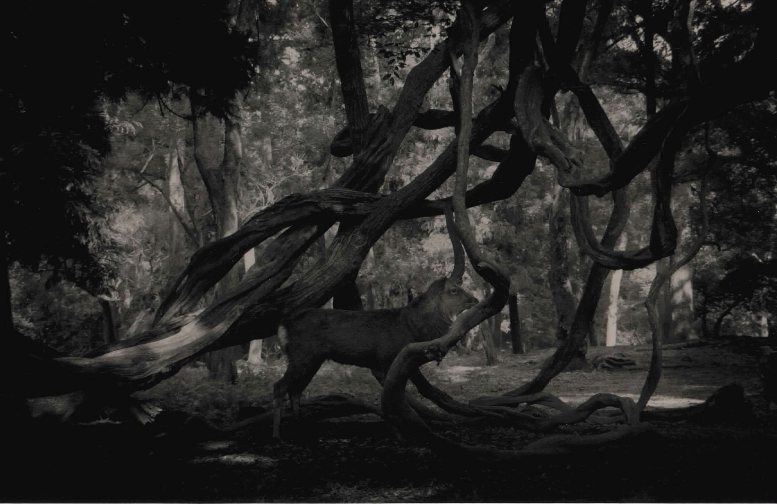 Masao Yamamoto, Kawa=Flow #1546