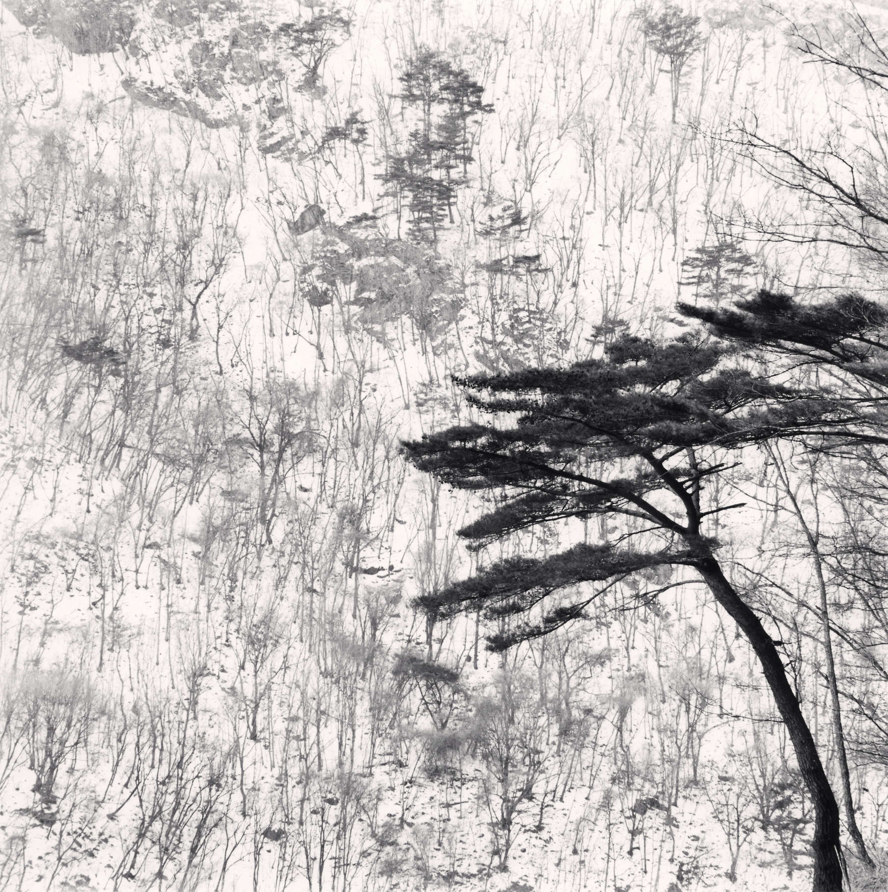 Michael Kenna, Mountain Walk, Pyeongchang, South Korea, 2012