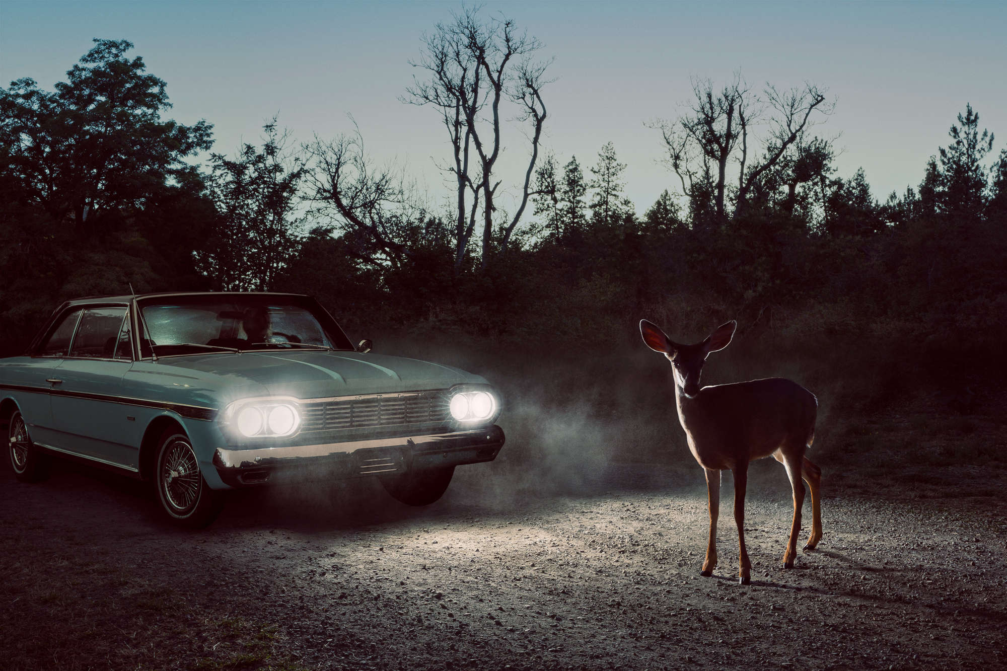 River Road: Milepost 13 