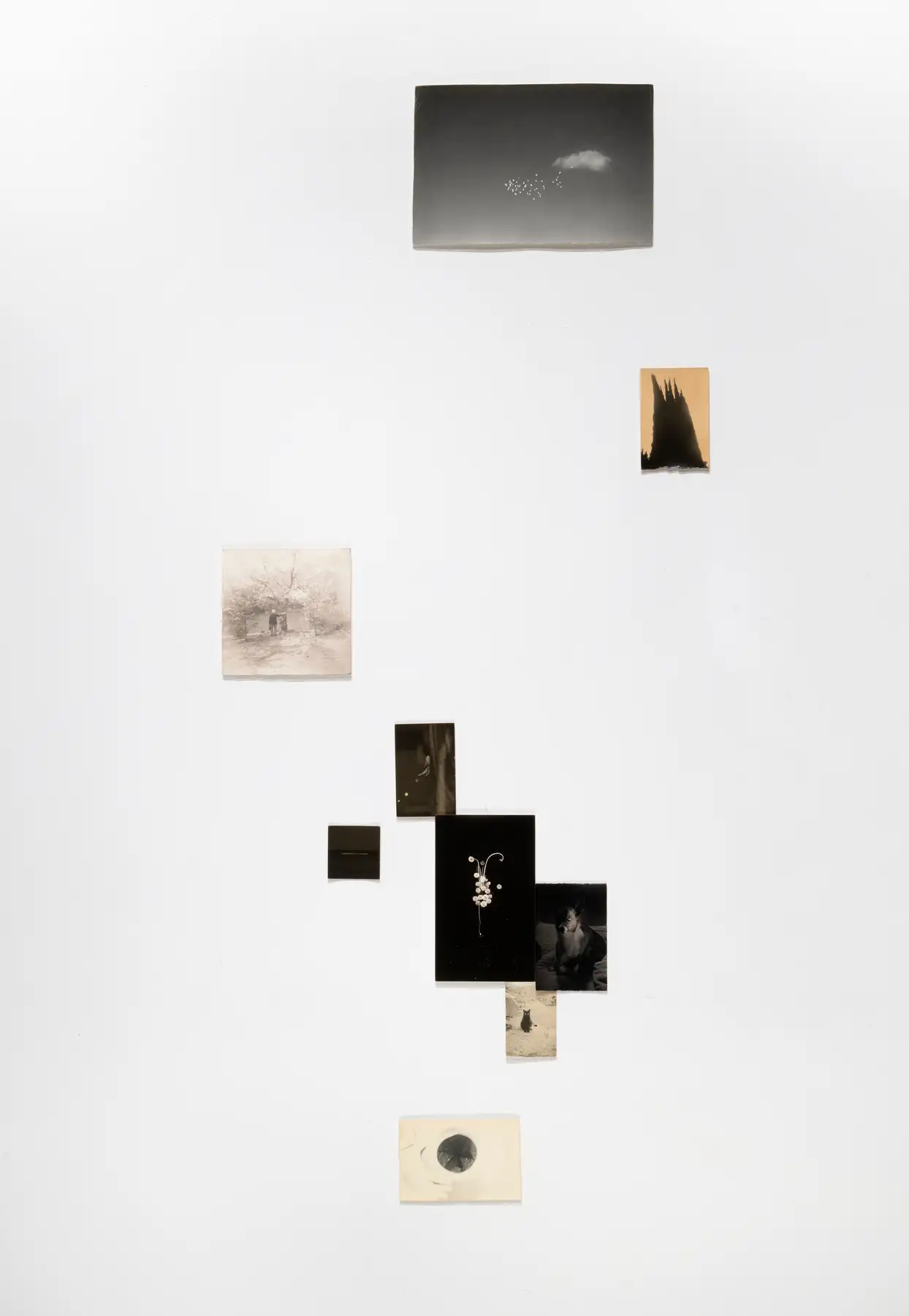 Nakazora Installation F-173