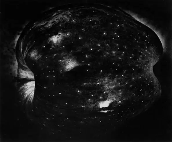 Apple, New York City