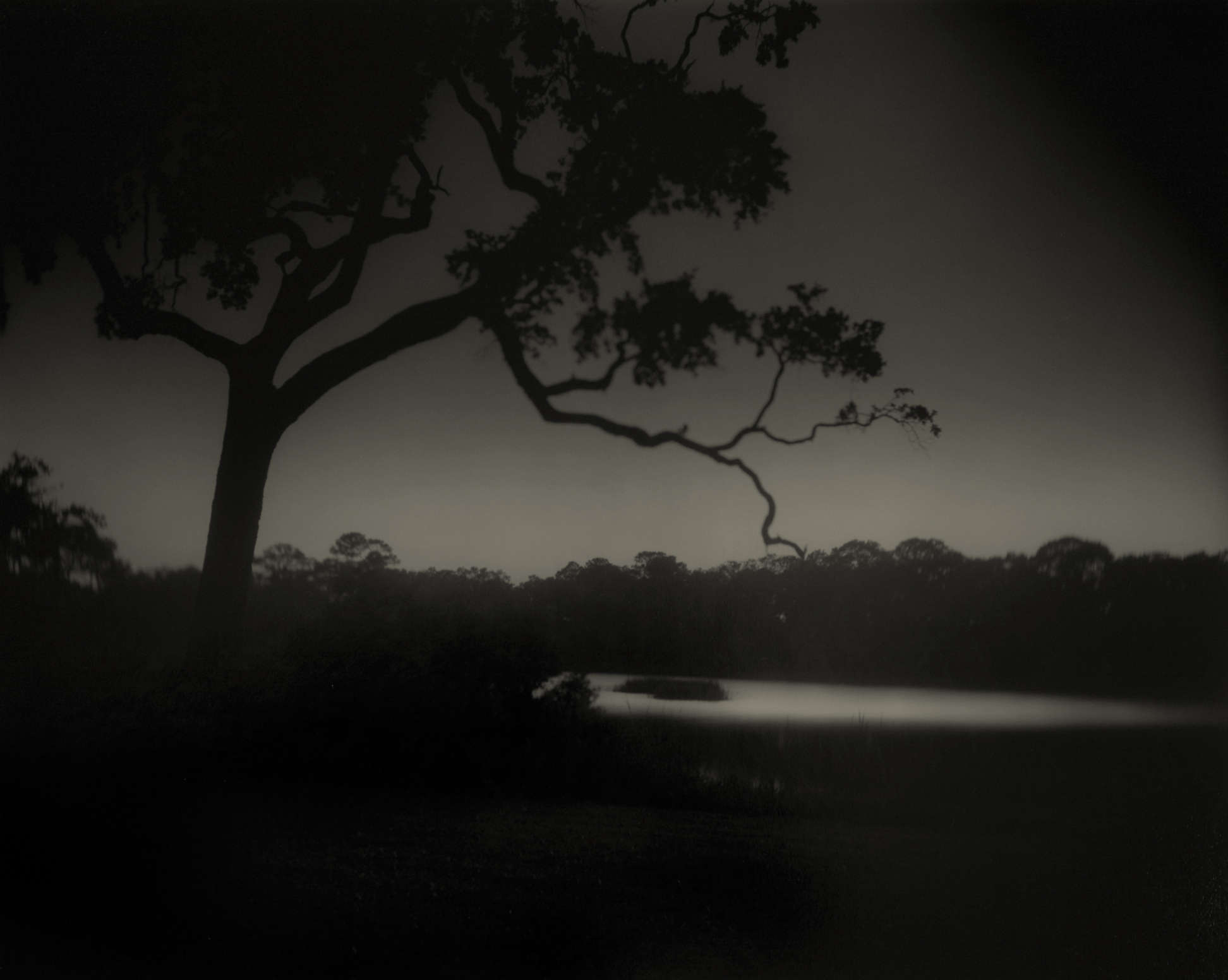 Sally Mann, Deep South, Untitled (Weyanoke Estate, Louisiana