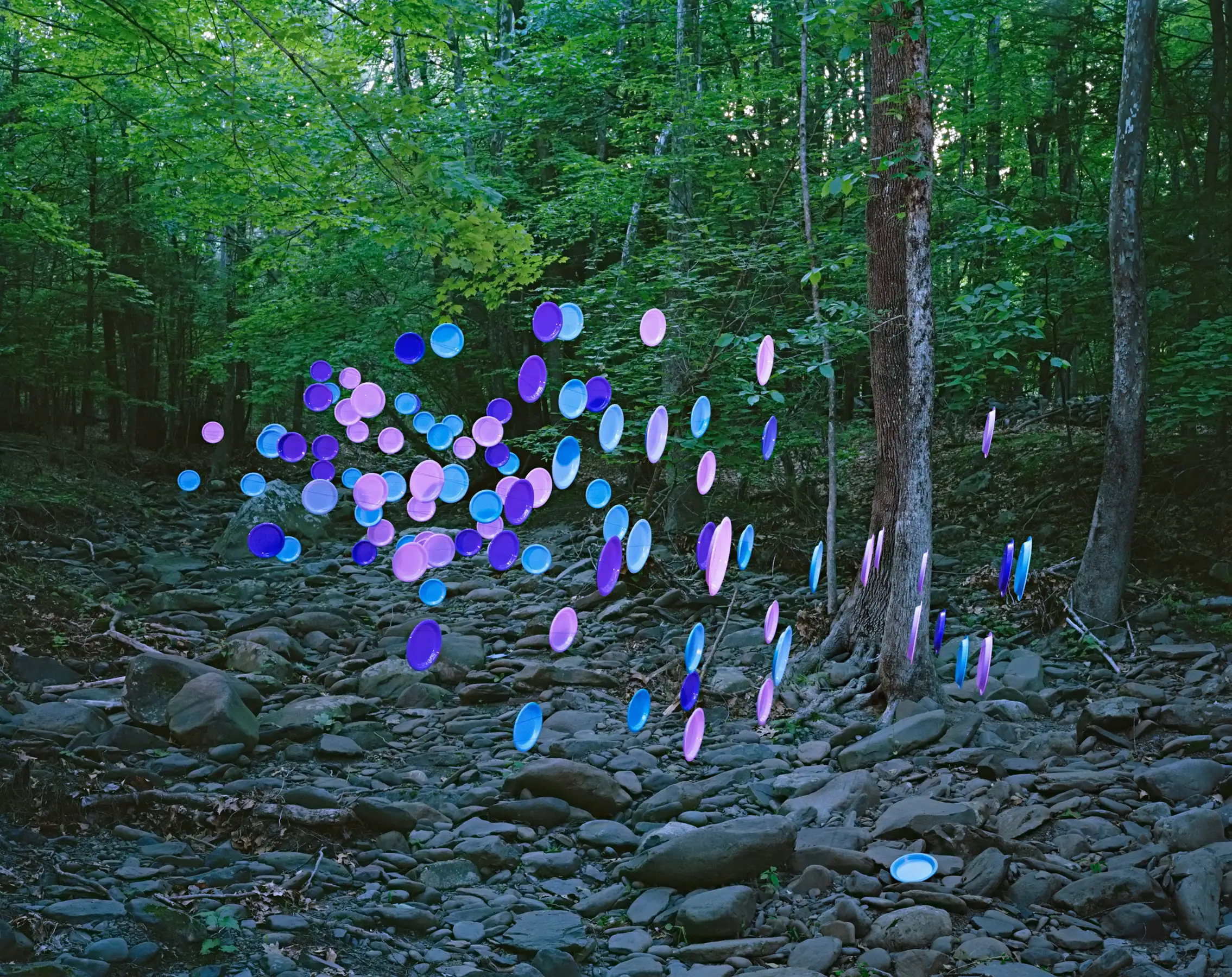 Plates no. 3, Accord, New York