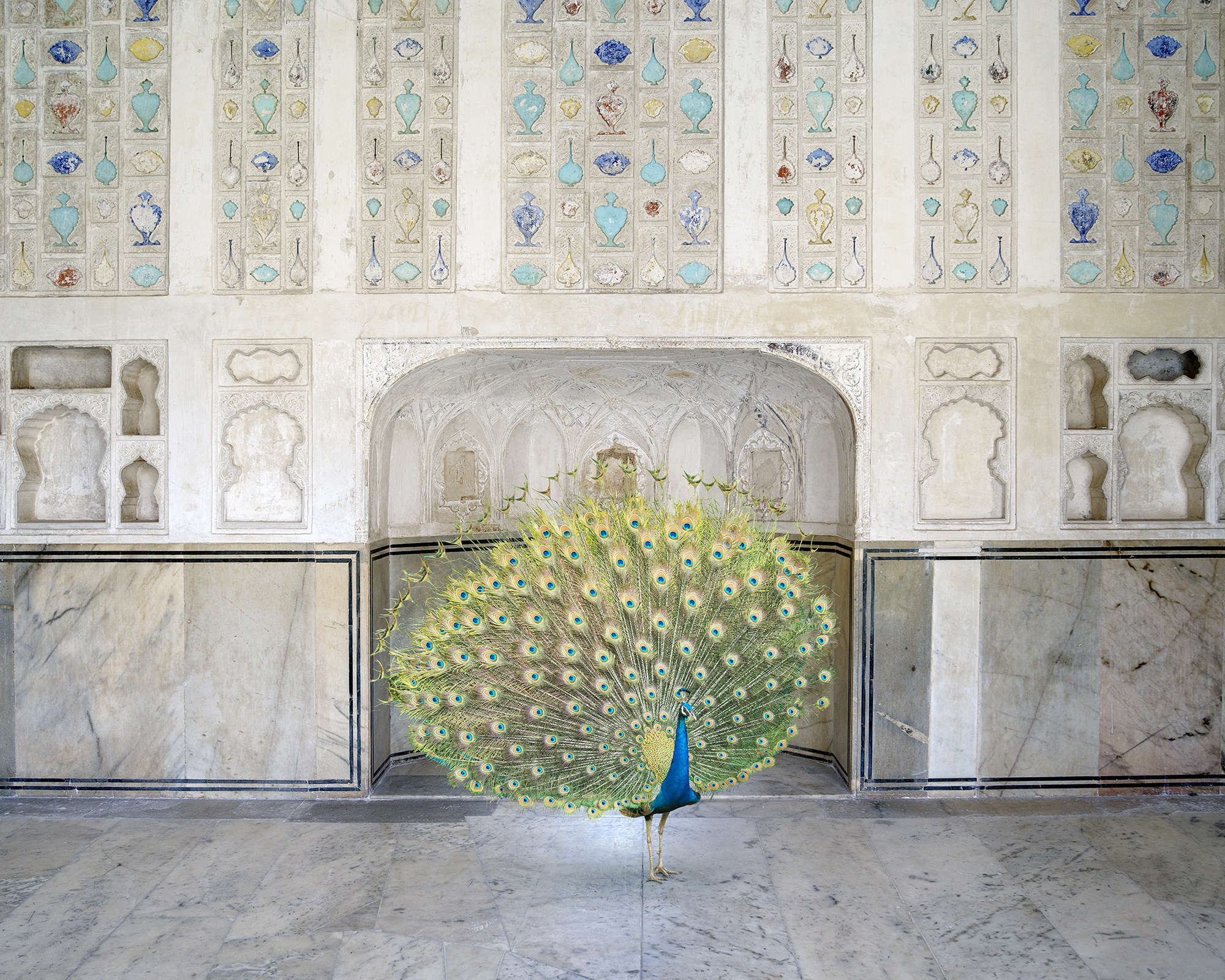 Karen Knorr, Master of Seduction, Amer Fort, Amer, 2017