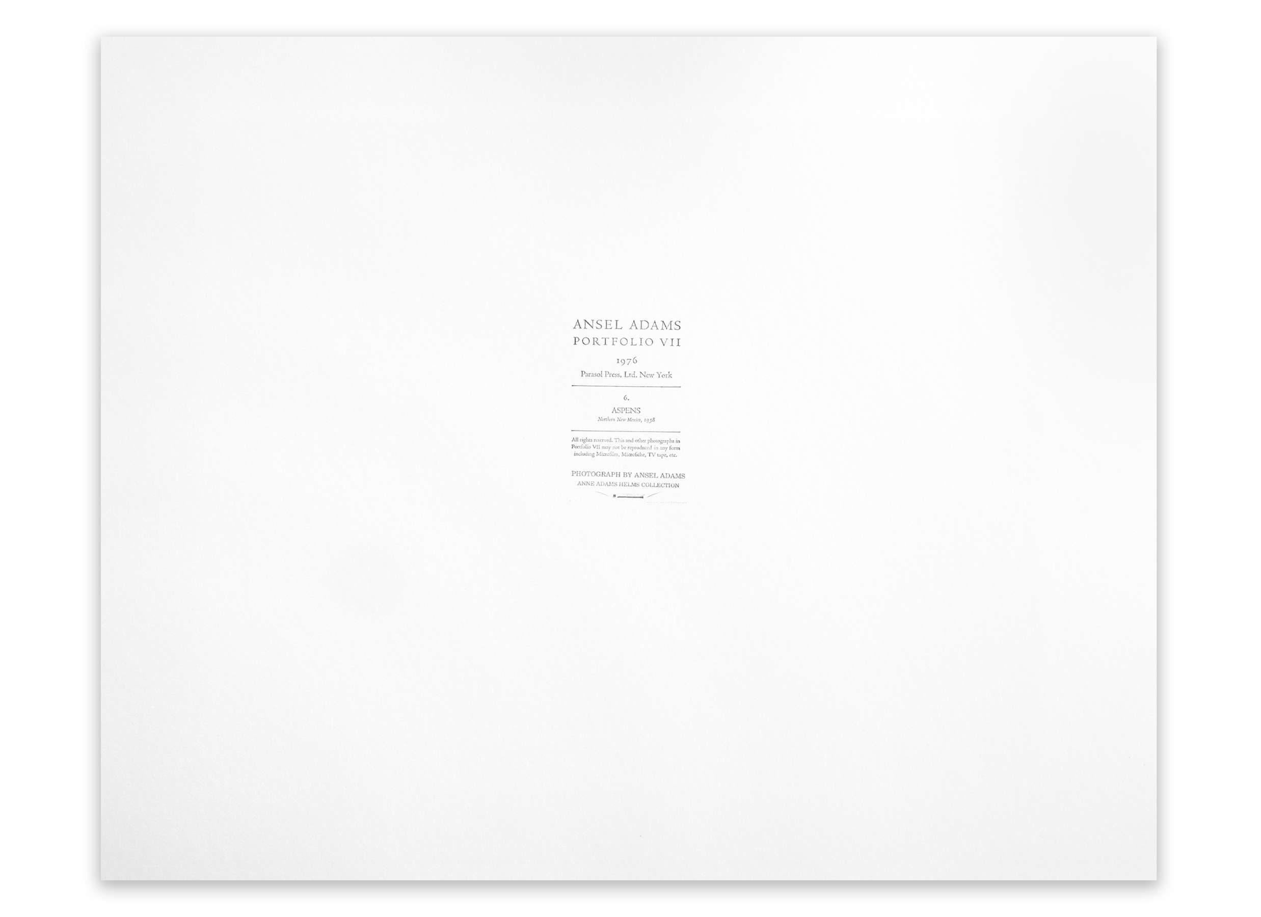 Aspens, Northern New Mexico, From Portfolio VII