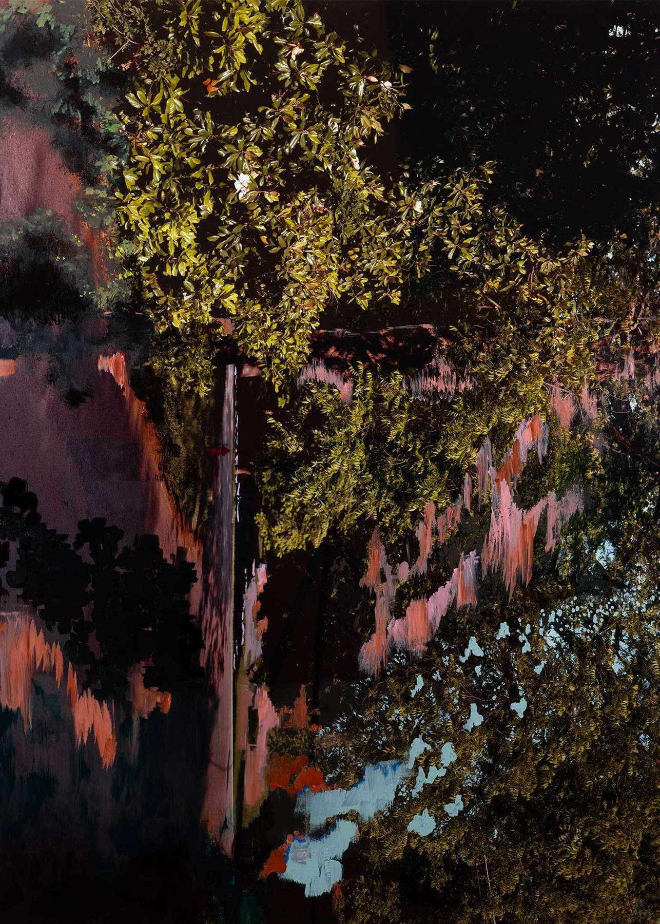 Ftan over Schloss Tarasp