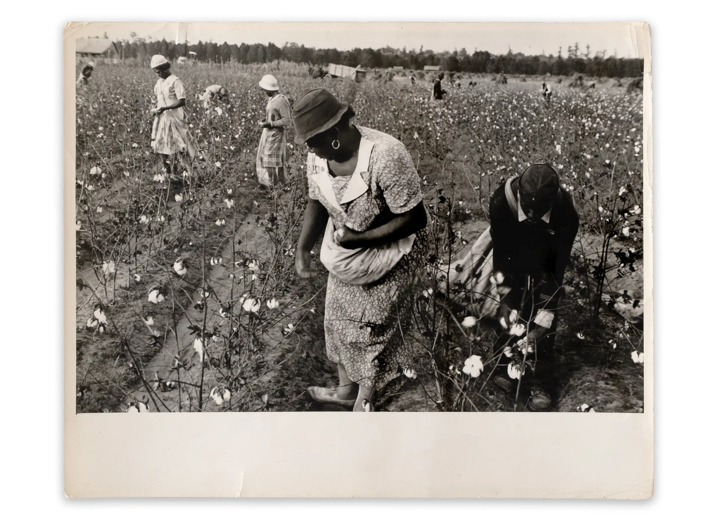 Dr. Riegler and J. Greno, Munich