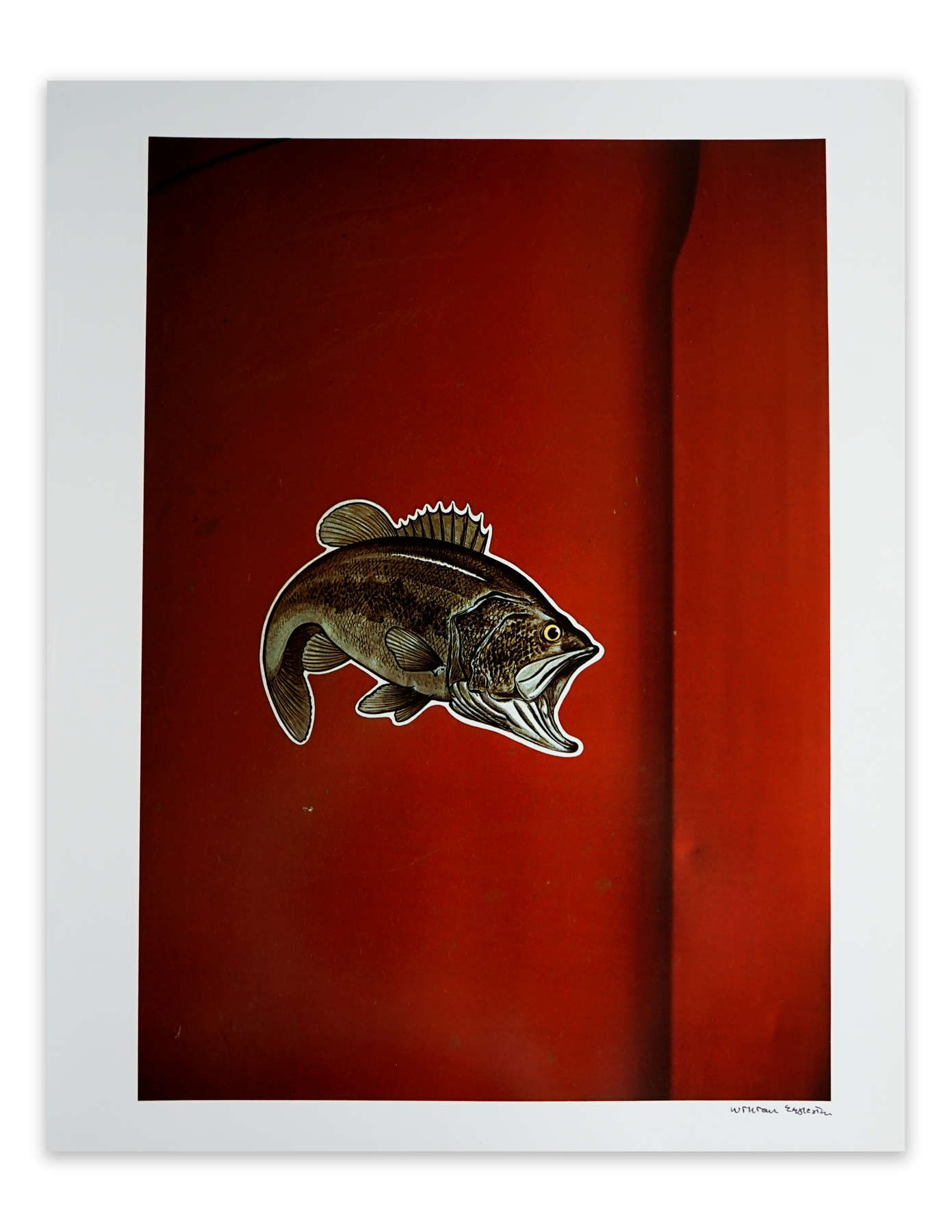 Untitled (house with vine)