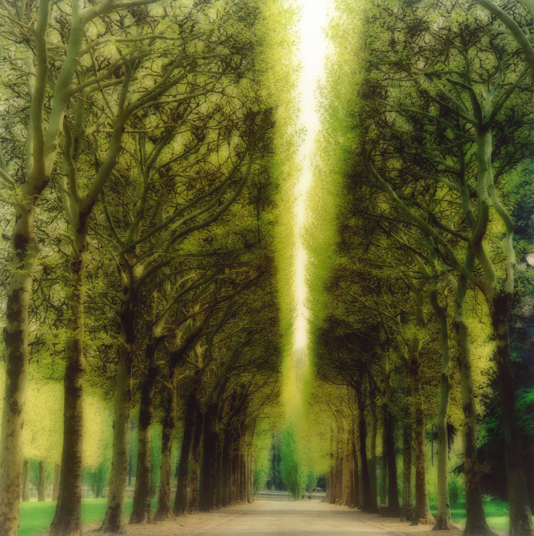 Parc de Sceaux, France (4-04-16c-8)