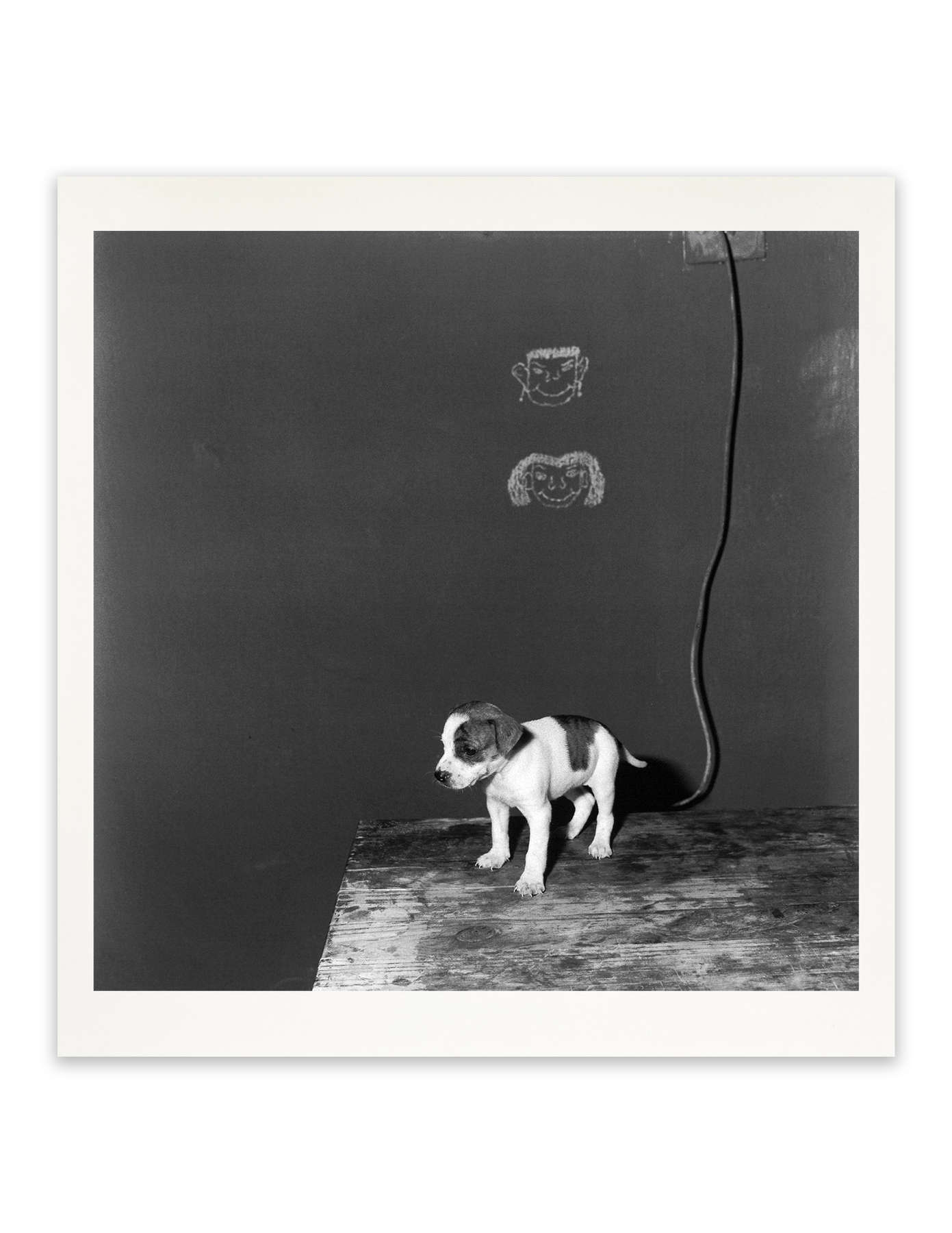 Muscle Beach, Los Angeles