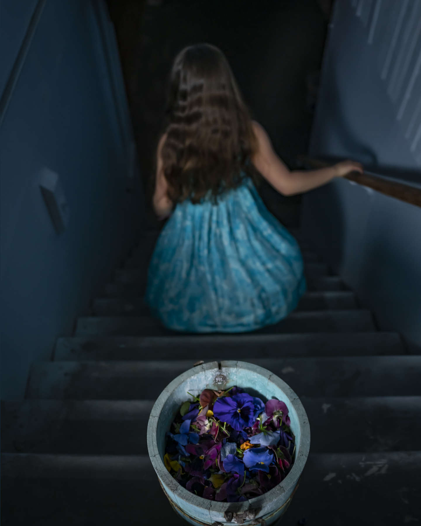 Scout and The Pansies