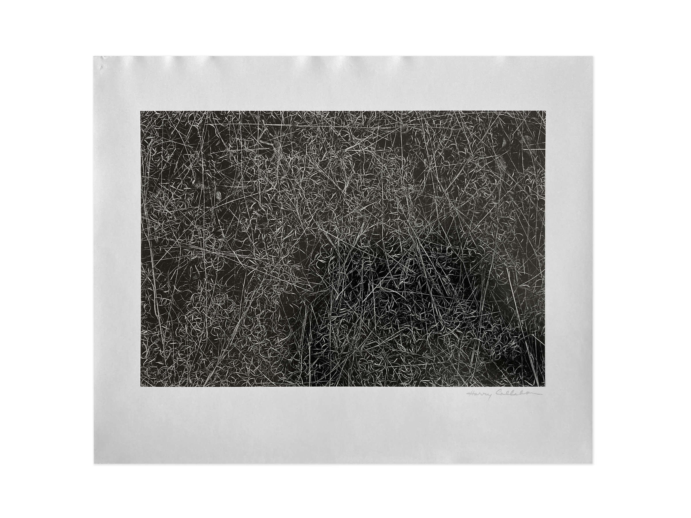 Draped Nude with circle, Bromografia 109