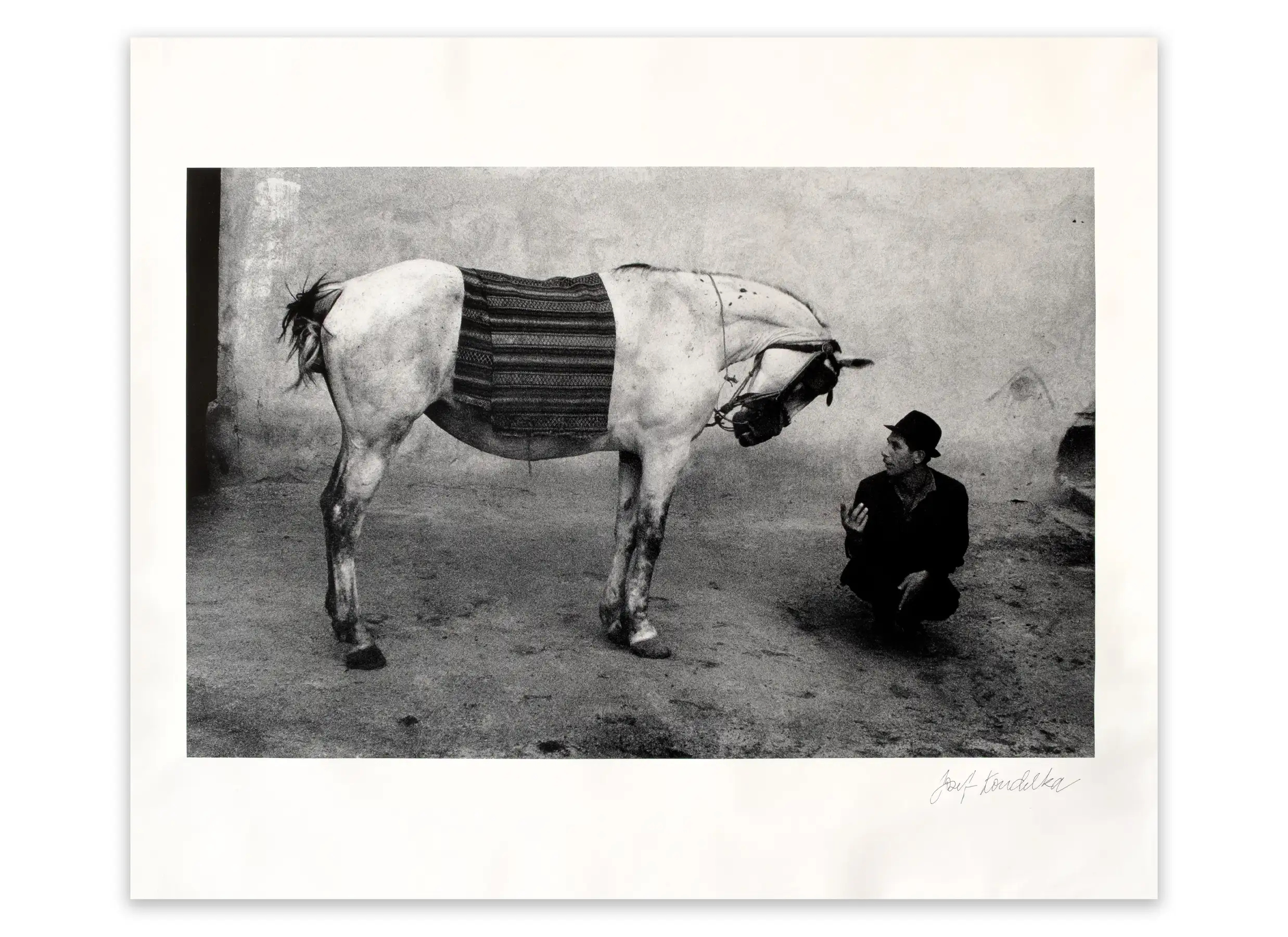 Dr. Riegler and J. Greno, Munich