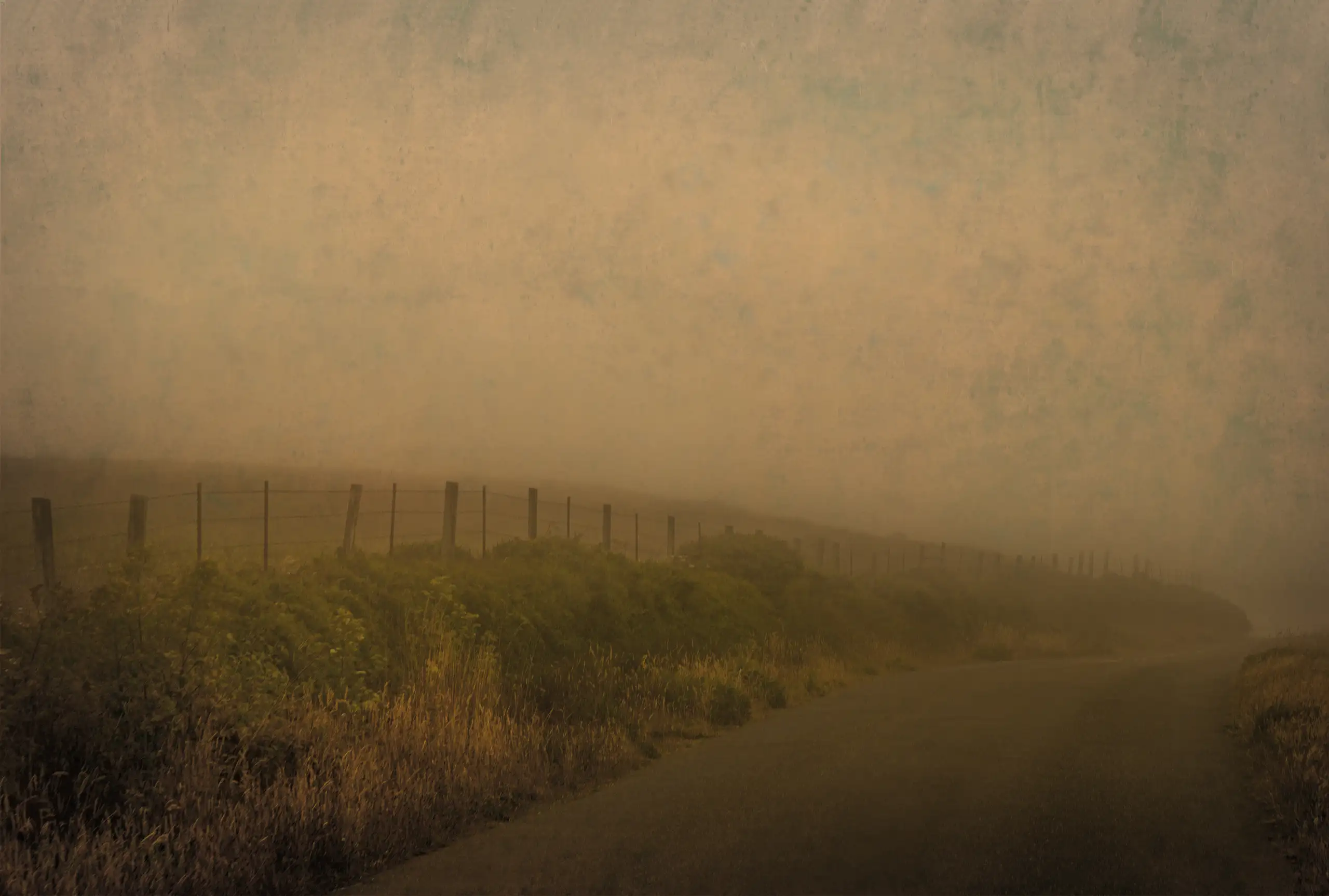 Road to Point Reyes, Point Reyes, California