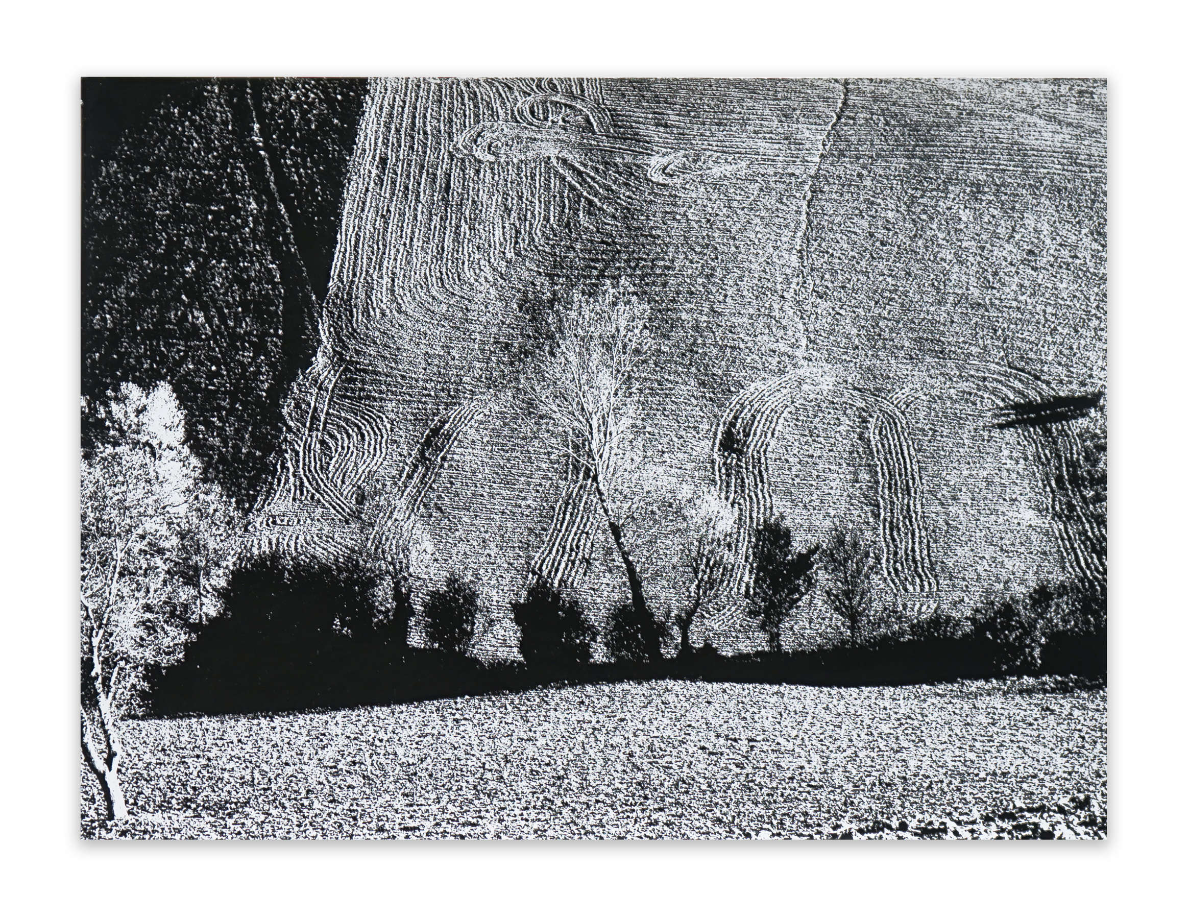 Boy at Stock Show, Fort Worth, Texas