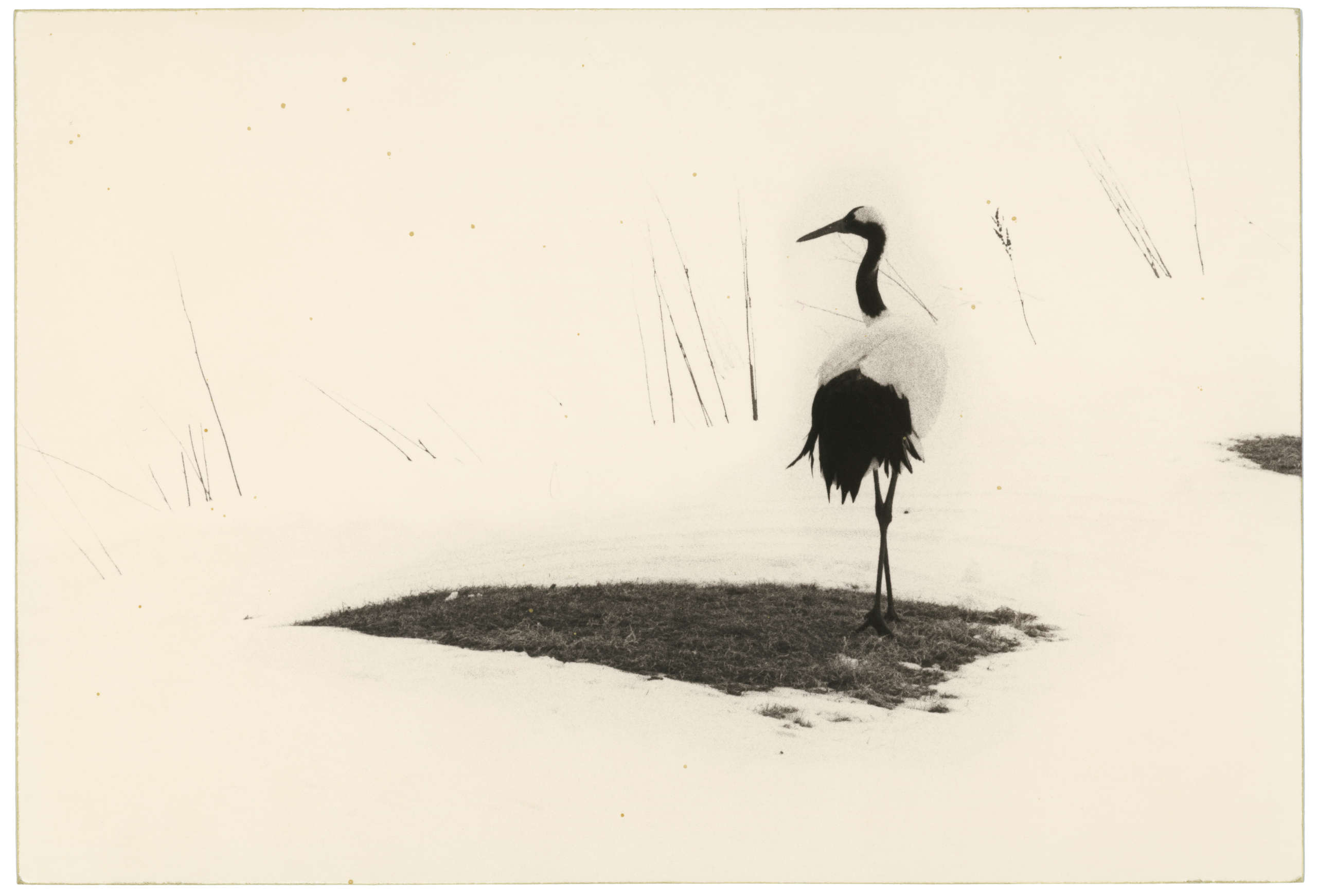 Yamamoto Masao, Kawa=Flow #1655, 2016