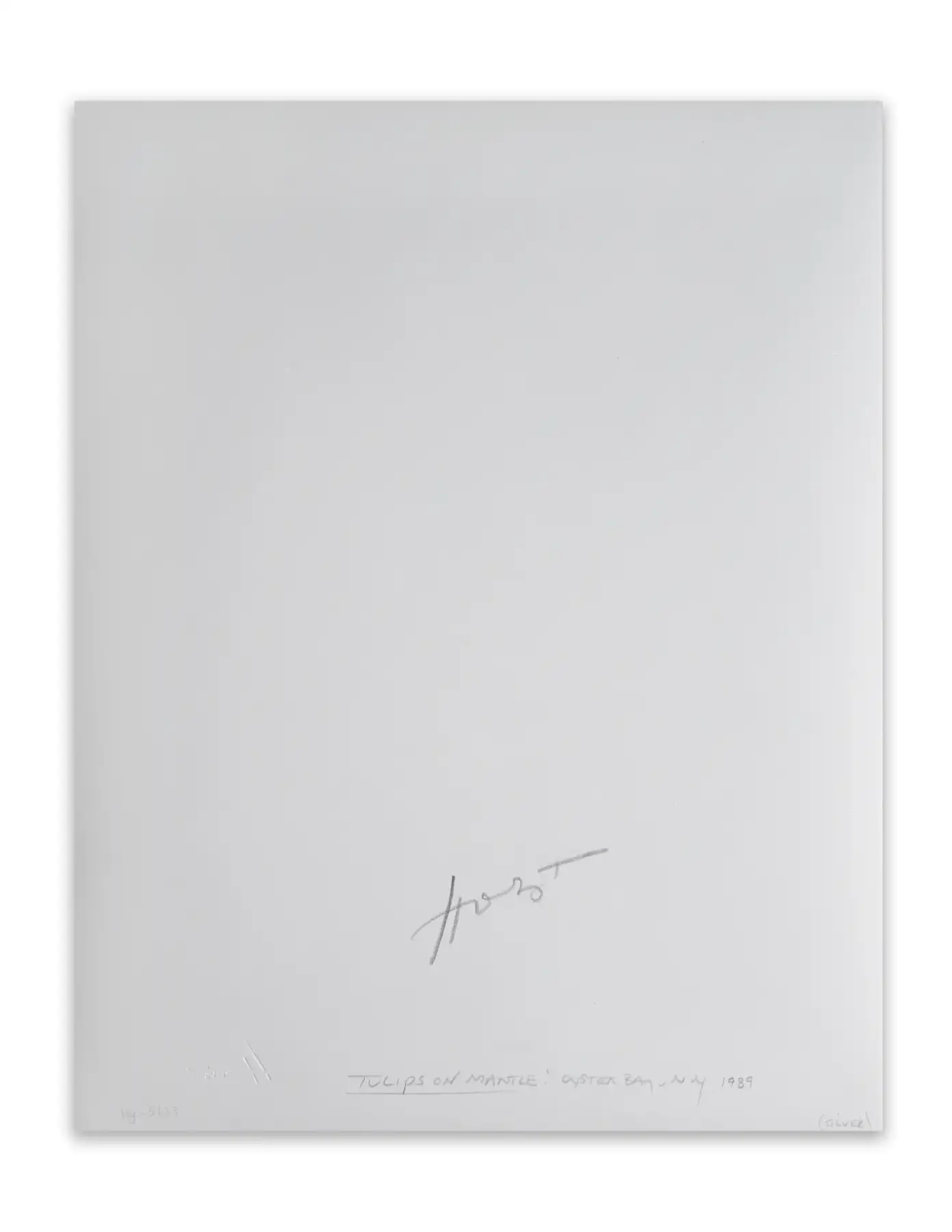 Tulips on Mantle, Oyster Bay, NY