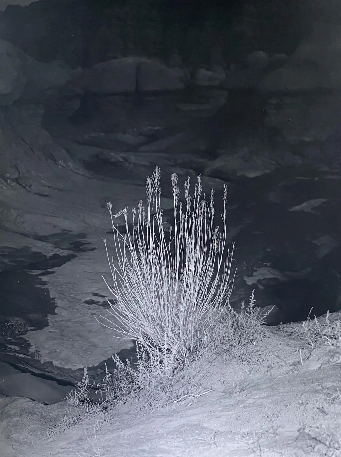 A Desert Night Illuminated