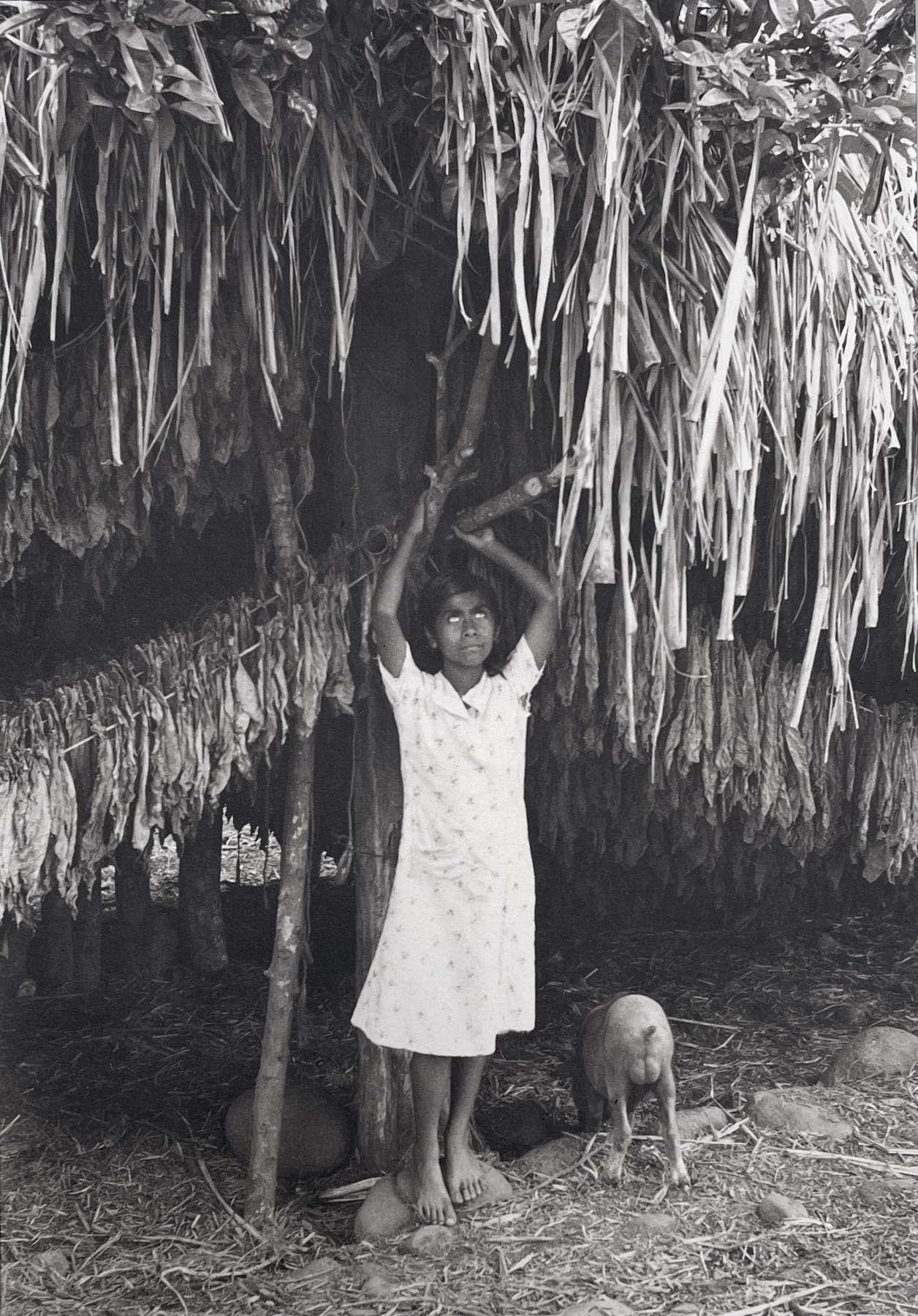 Platinum portfolio (portfolio of 10)