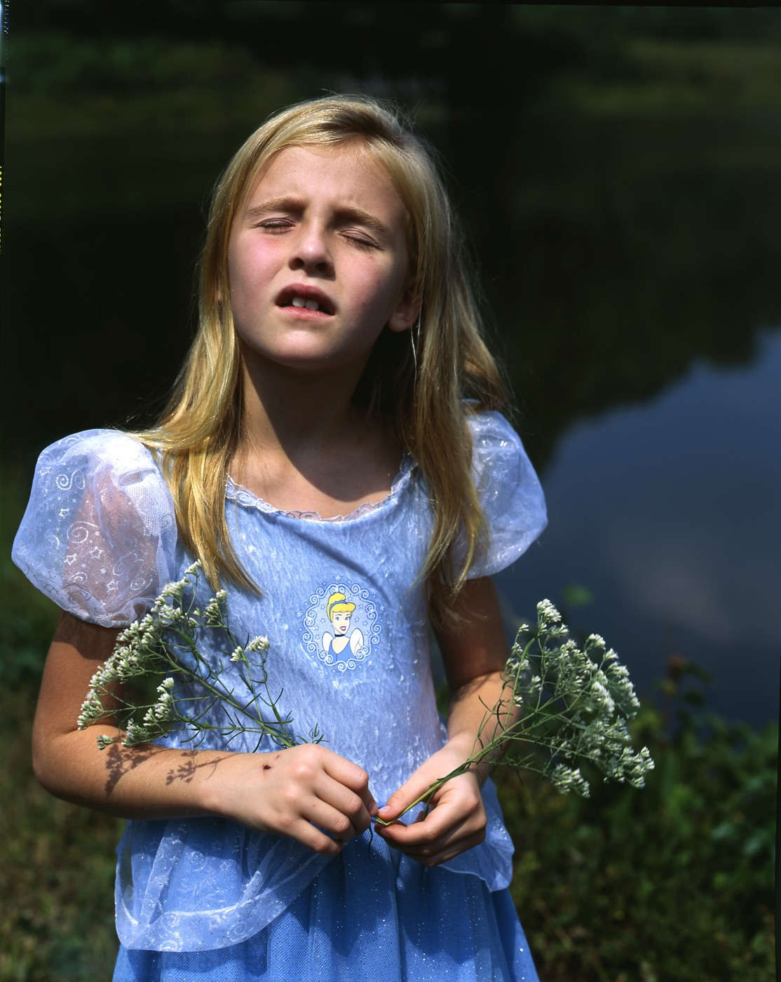 Princess in Peril #1