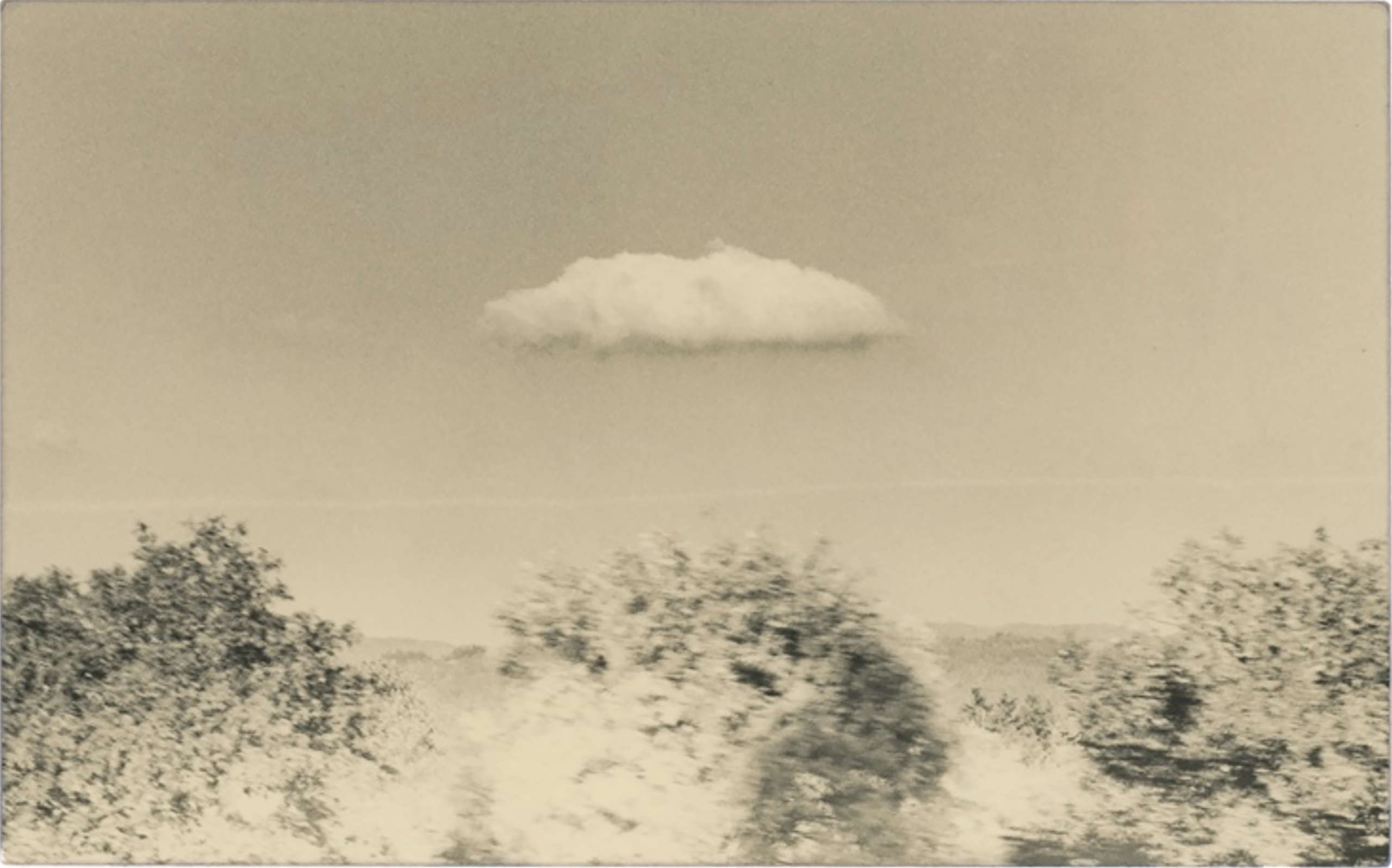 Yamamoto Masao, La Vie Simple #5046, 2021