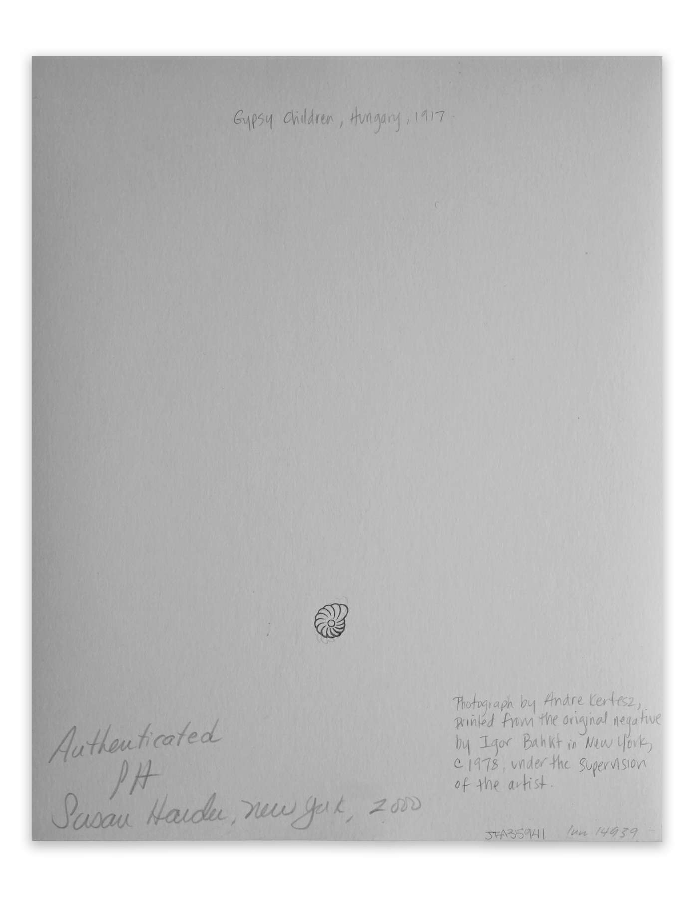 Gypsy Children, Hungary