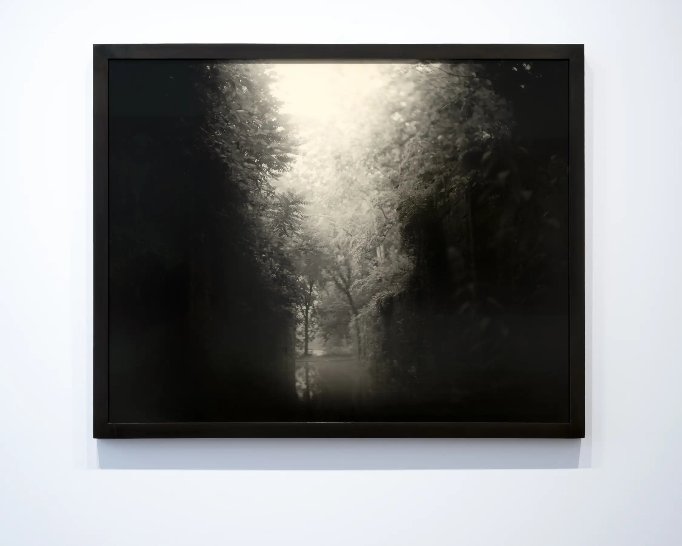 Untitled (Virginia), from Mother Land