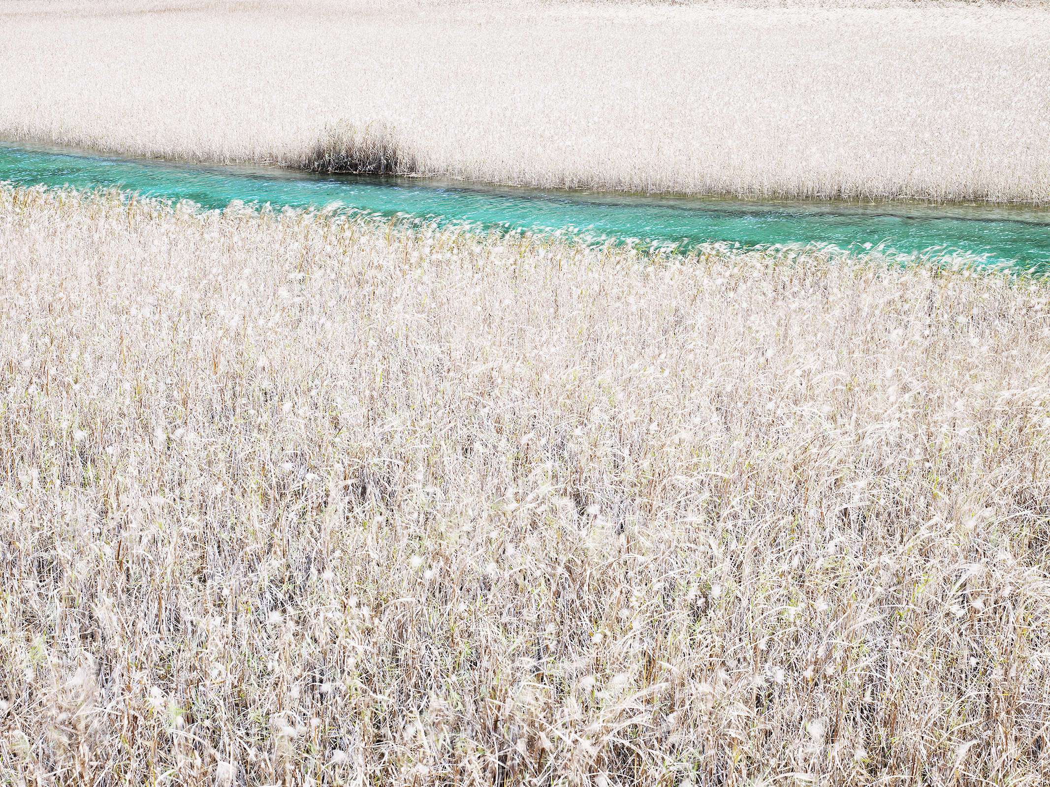 Turquoise Stream, Jiuzhaigou, China
