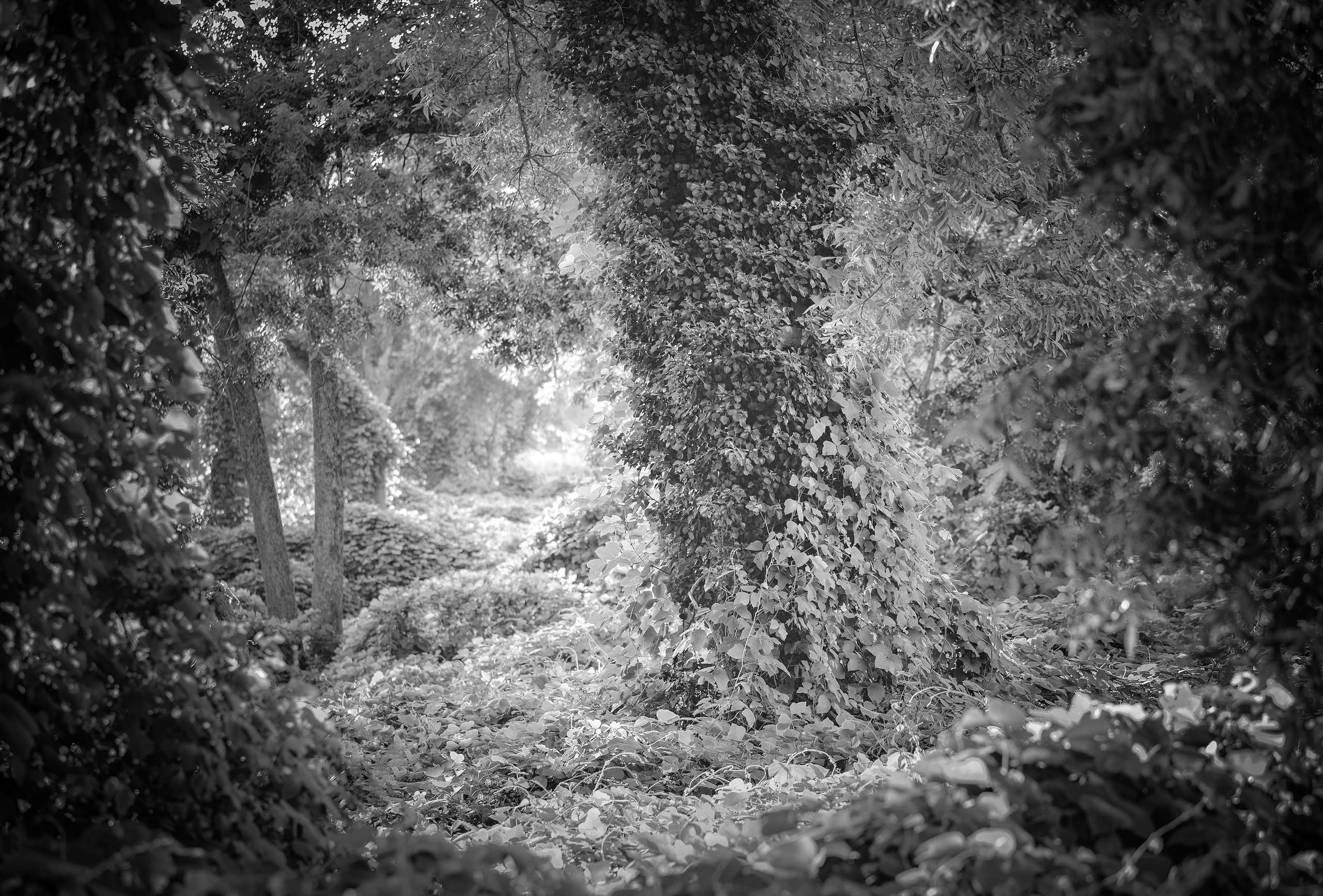 Behold the Land, Untitled 3