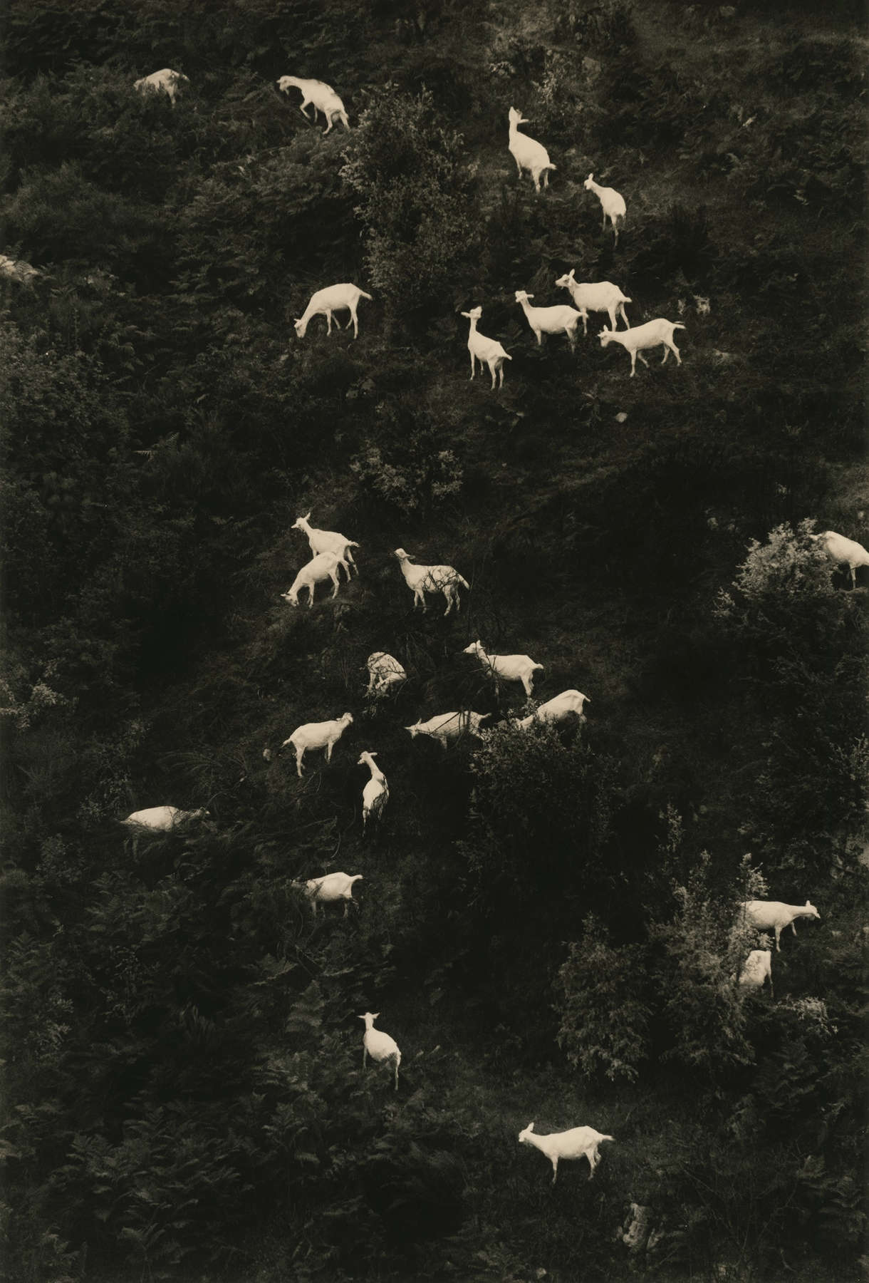 Yamamoto Masao, La Vie Simple #5022, 2021