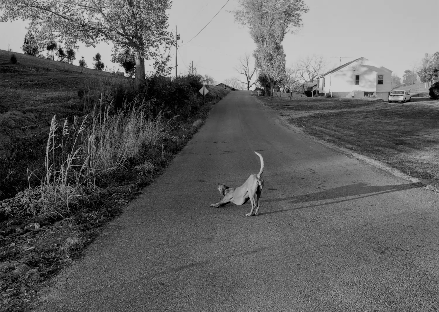 Near Bowmanton, Tennessee