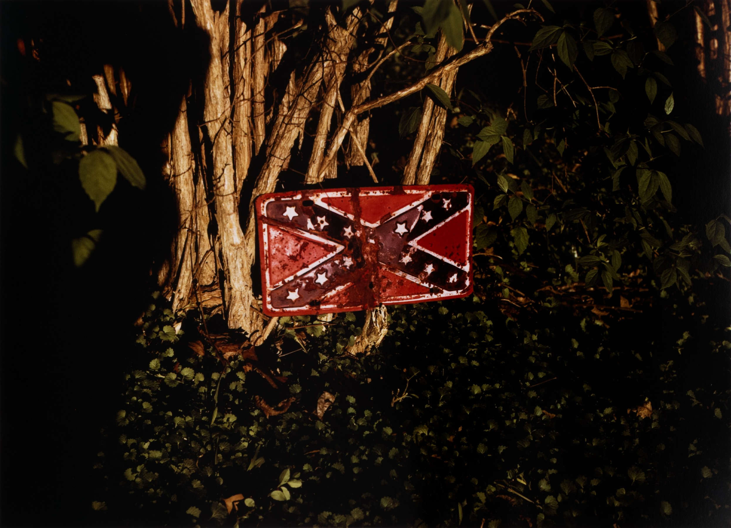 Untitled, from Portfolio 10.D.70.V2 (Rebel Flag License Plate on Tree)