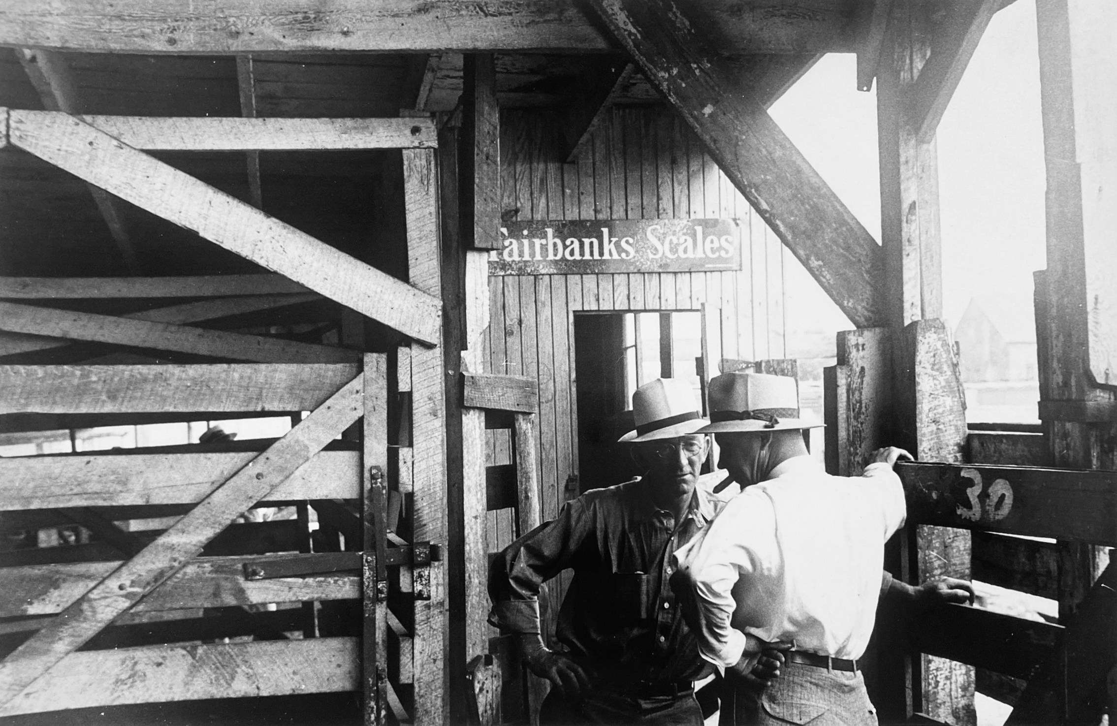 Pens at auction. Pickaway Livestock Cooperative Association, central Ohio