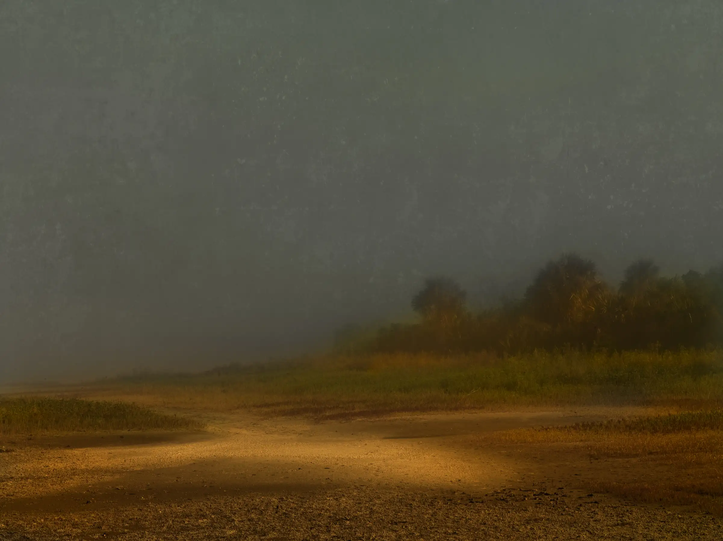 Jack Spencer, Low Tide, Cumberland Island, GA, 2007