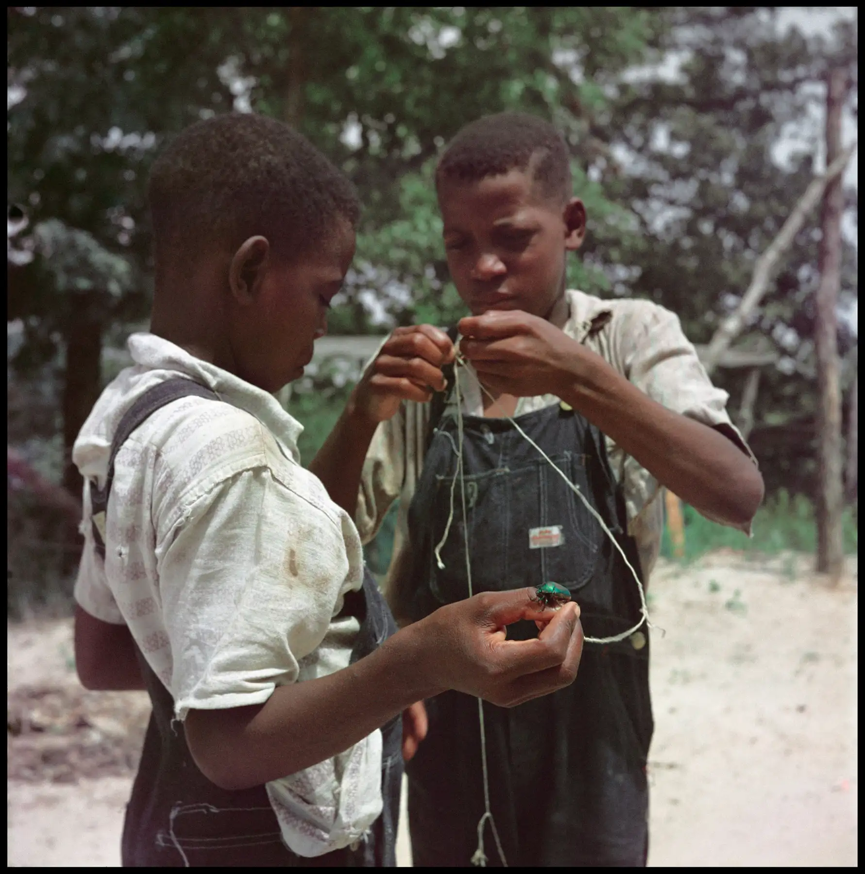 The South in Color Portfolio (37.160)