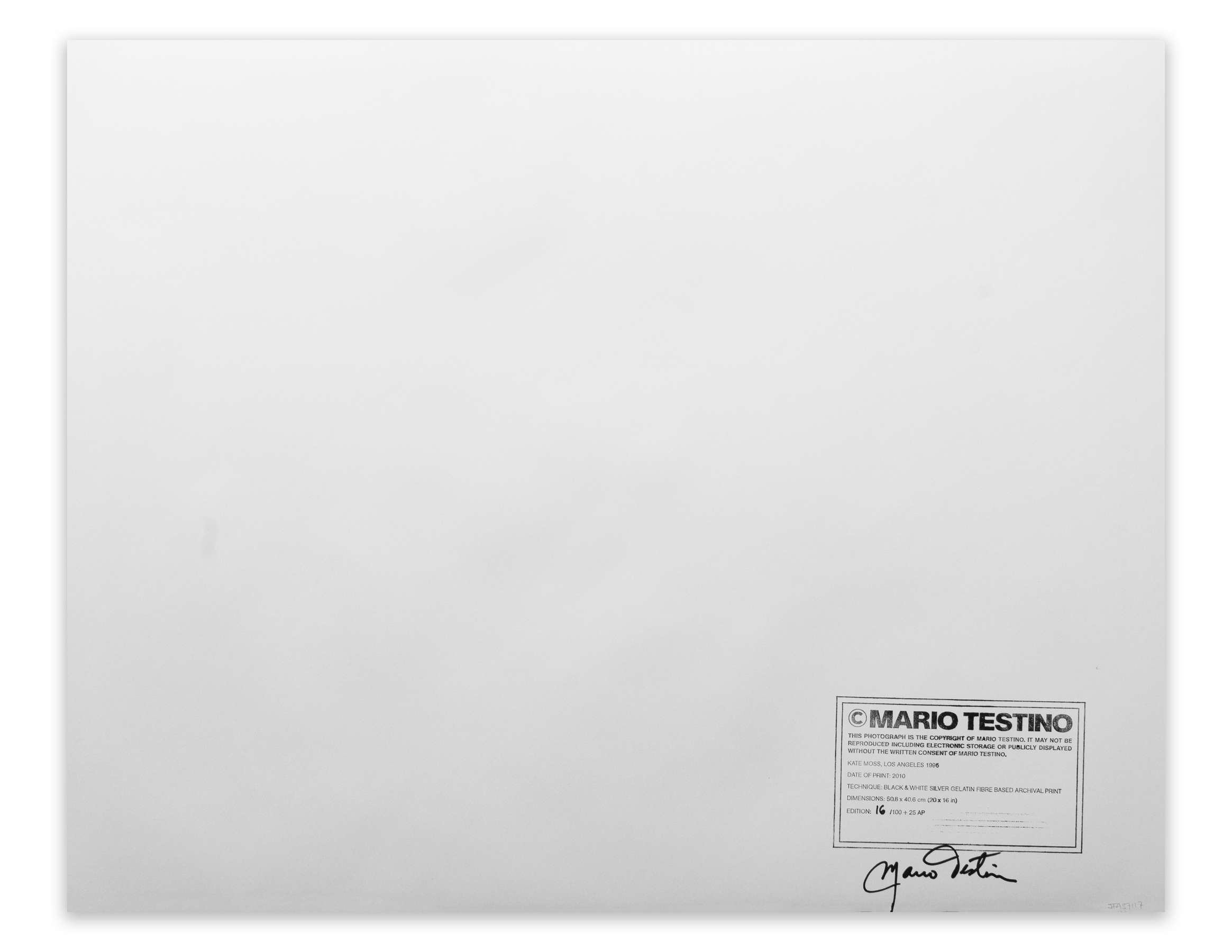 Entering Montgomery - Selma March