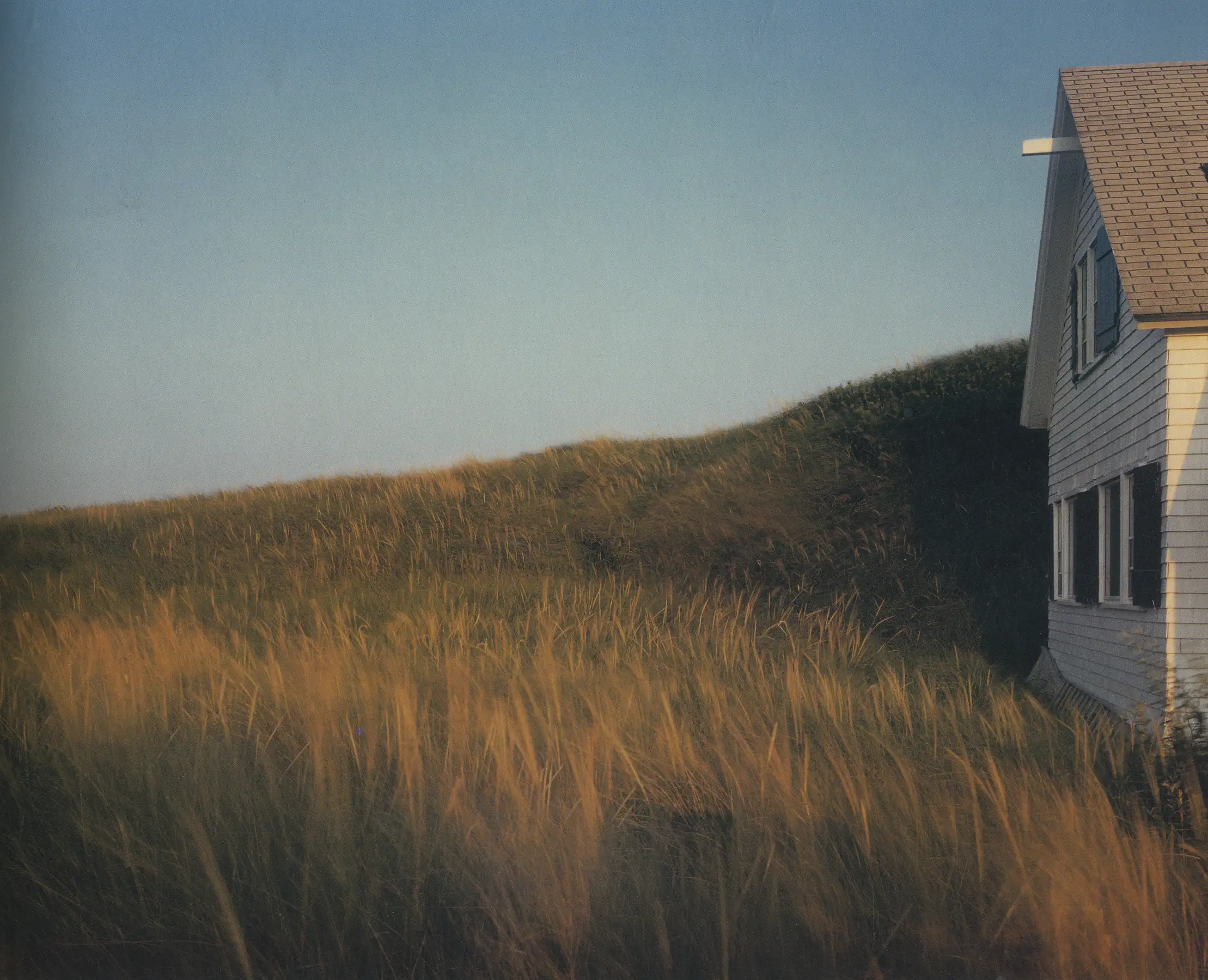 Dune Grass, House, Truro