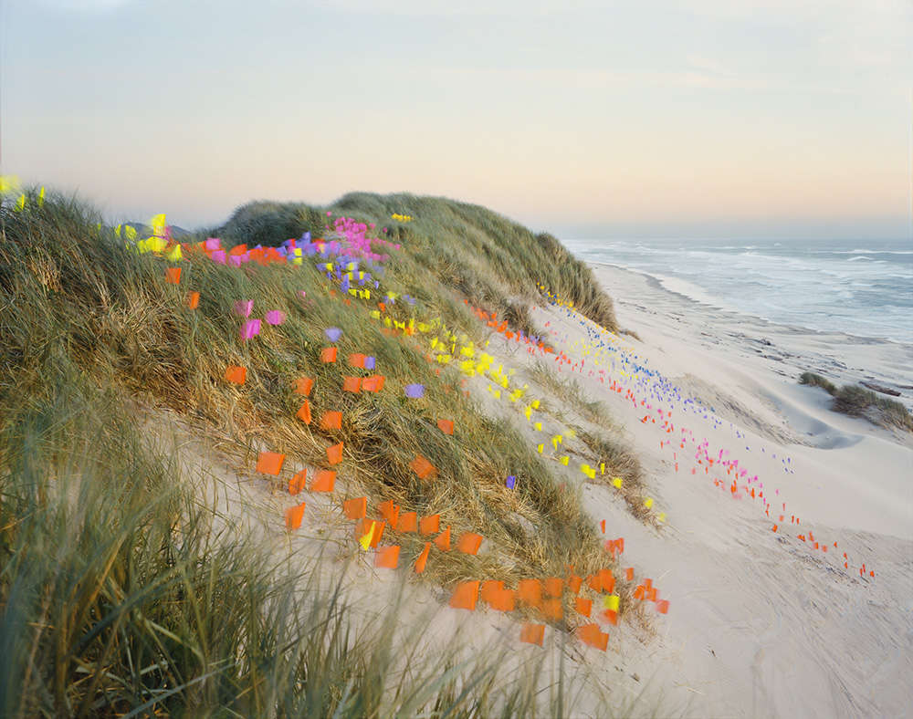 Flags no. 1, Oregon Dunes National Recreation Area, Oregon