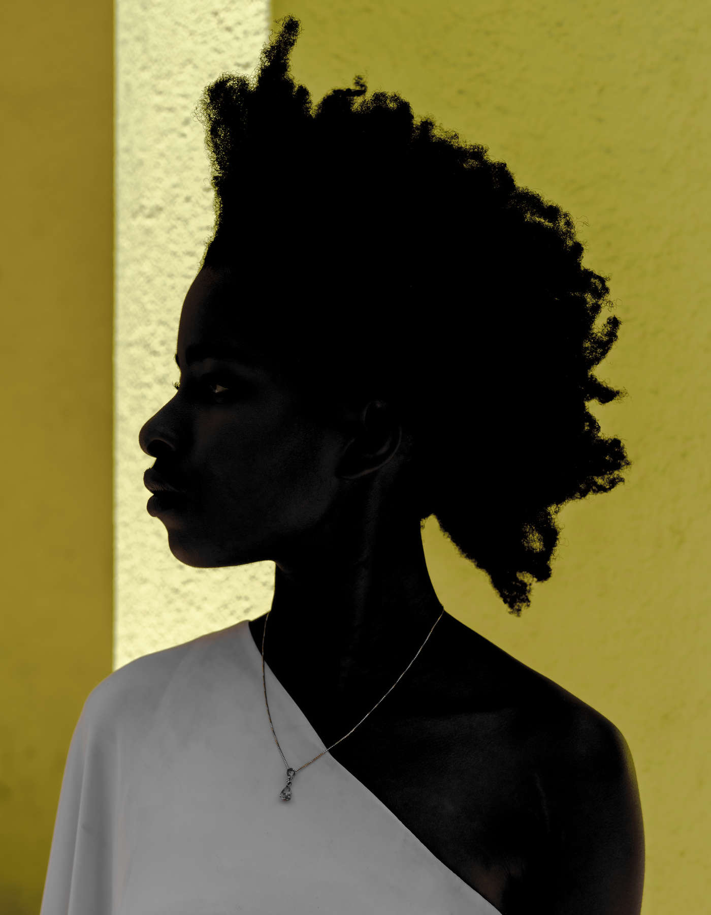 Mnêmosynê, Afrolinquistica - a portrait of Poet Laureate Amanda S. Gorman