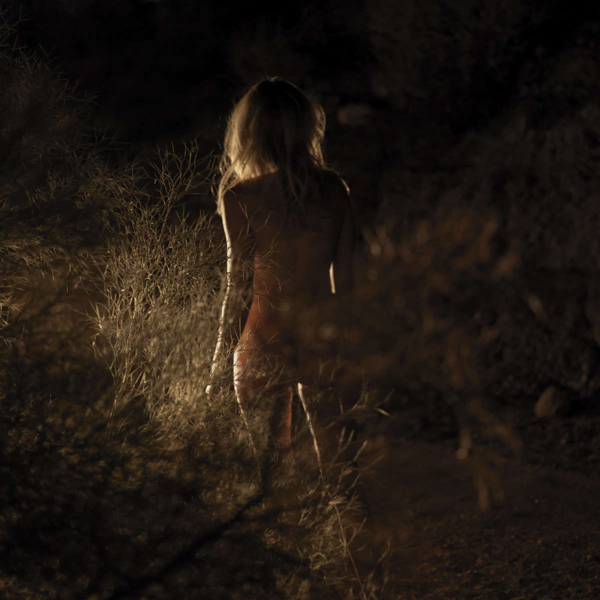 Mona Kuhn, Wander , 2012-2013