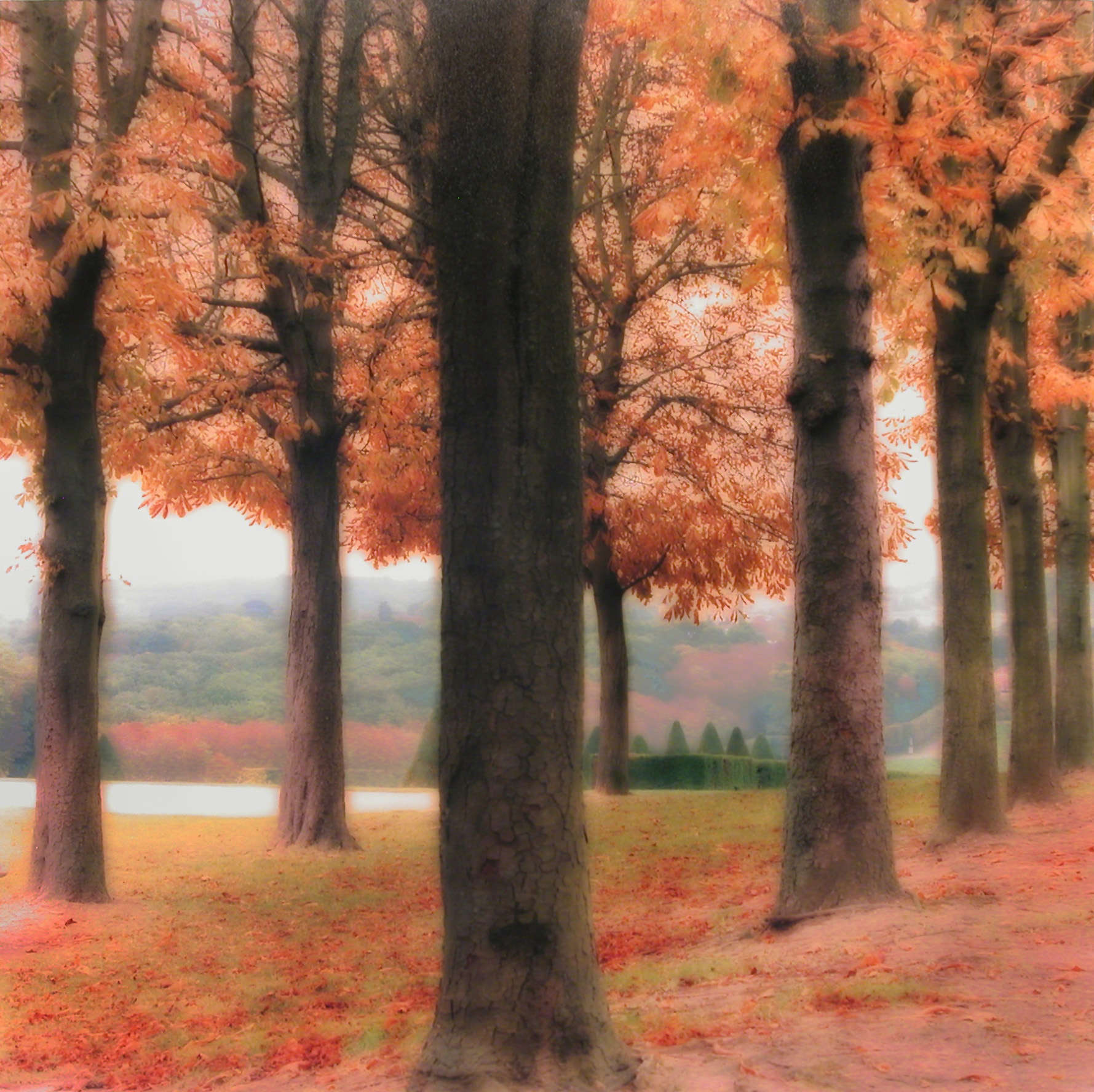 Parc de Sceaux, France (10-08-33c-7)