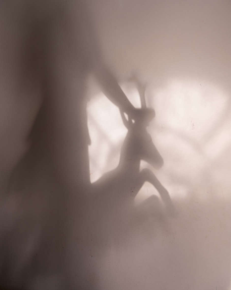 Artemis, Reflecting on the Wall