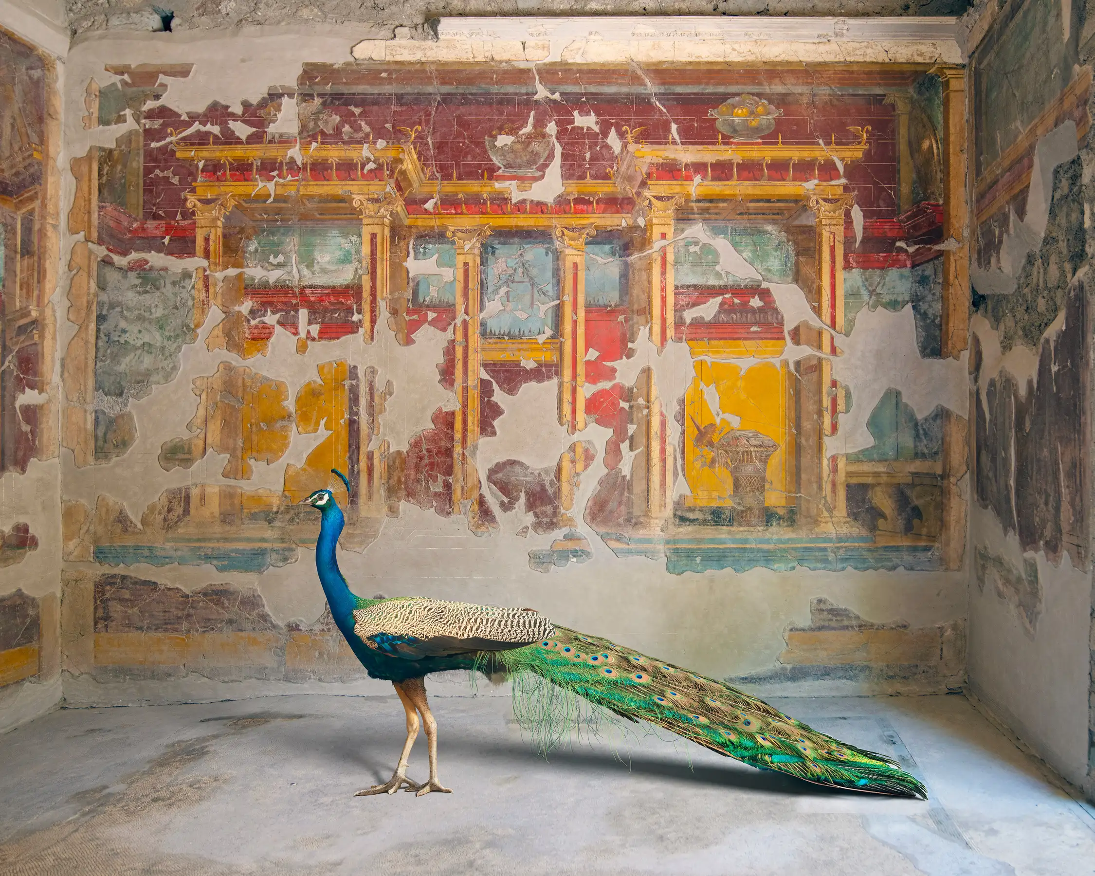 Hera's Eyes, Villa Oplontis, Torre Annunziata