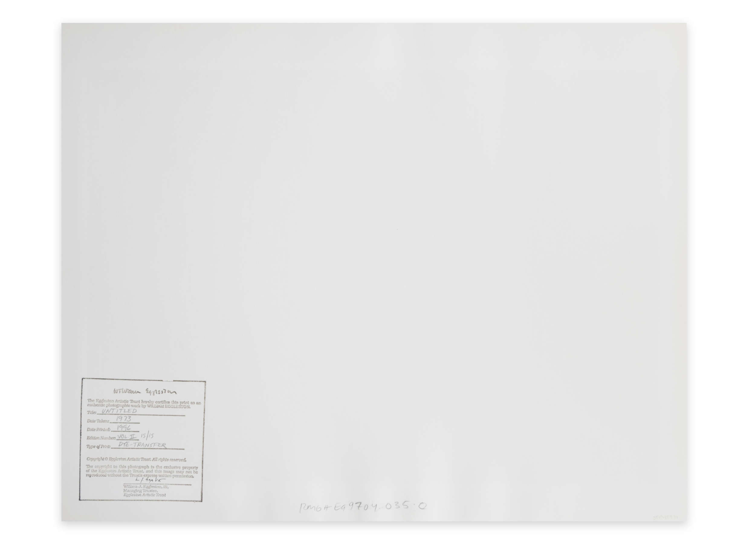 Untitled, from Portfolio 10.D.70.V2 (Rebel Flag License Plate on Tree)