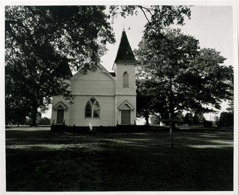 Sam Taylor-Wood, Bird, Georgia, 2004